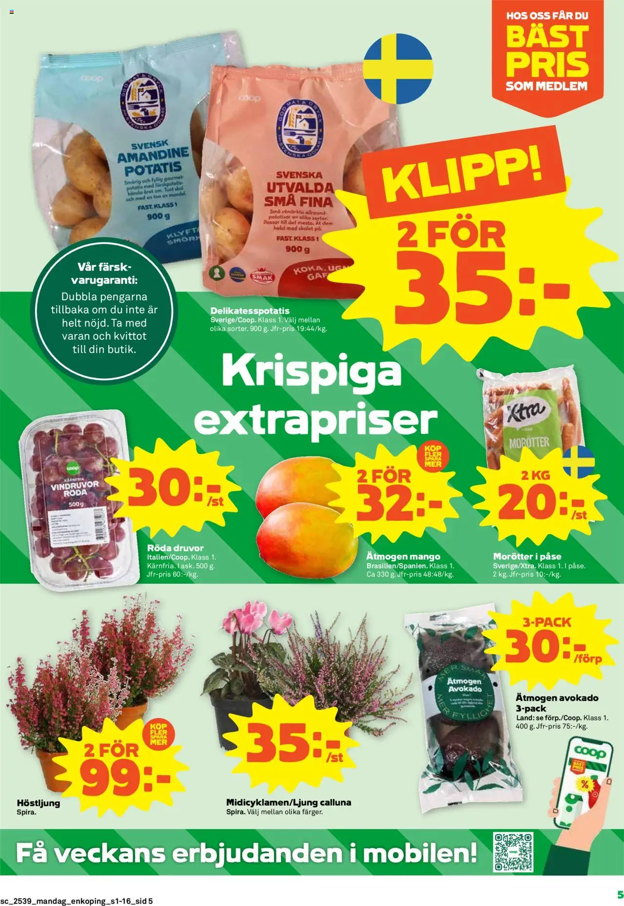 Stora Coop reklamblad aktuell från 22.09.2025 | Sida: 5 | Produkter: Vindruvor, Potatis, Mango