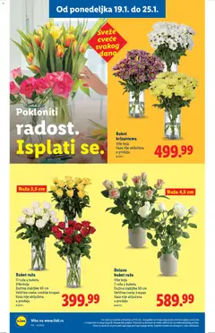 Lidl katalog  - pregled Lidl kataloga - važi od 22.01.2026 | Strana: 46