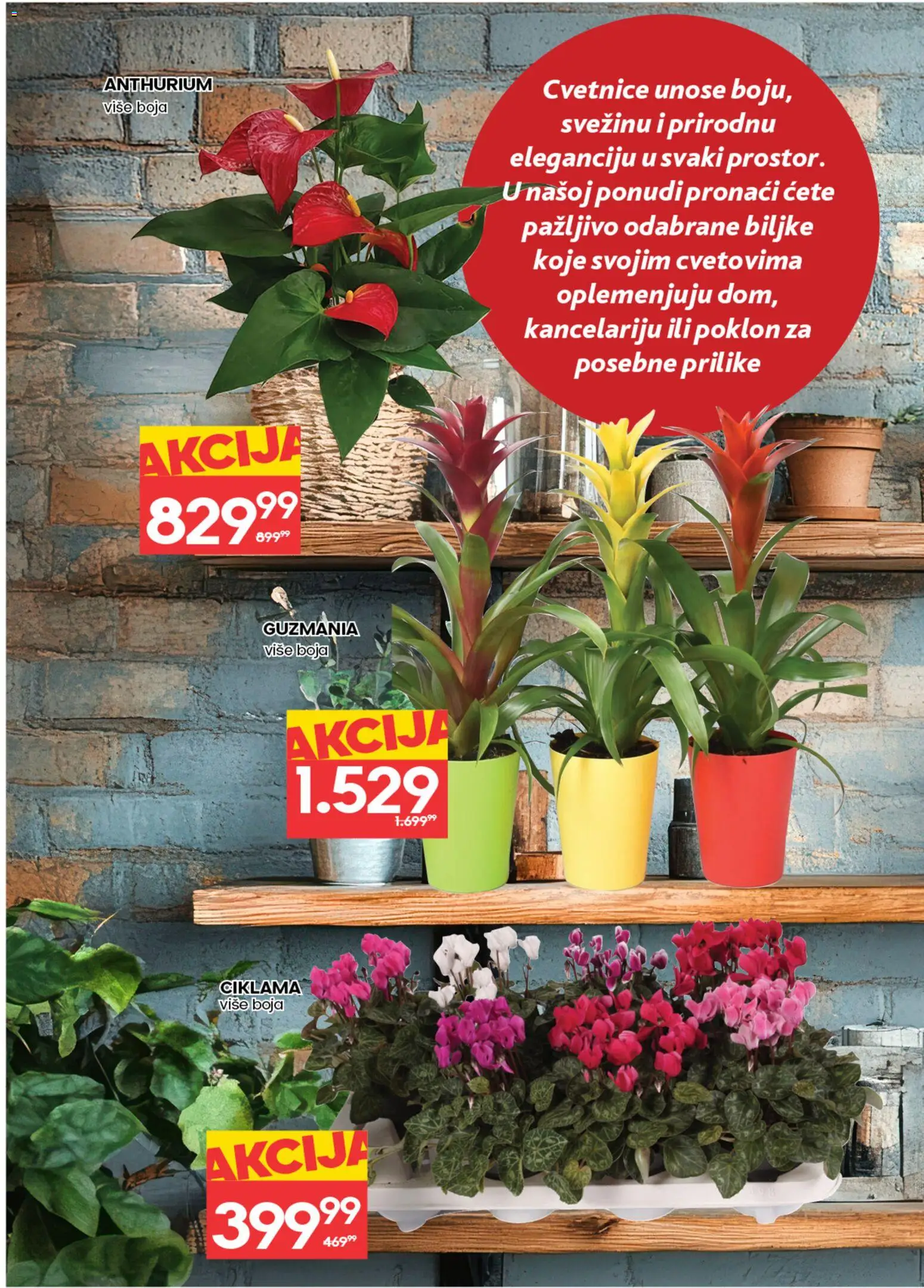 Idea katalog - važi od 05.03.2026 | Strana: 4