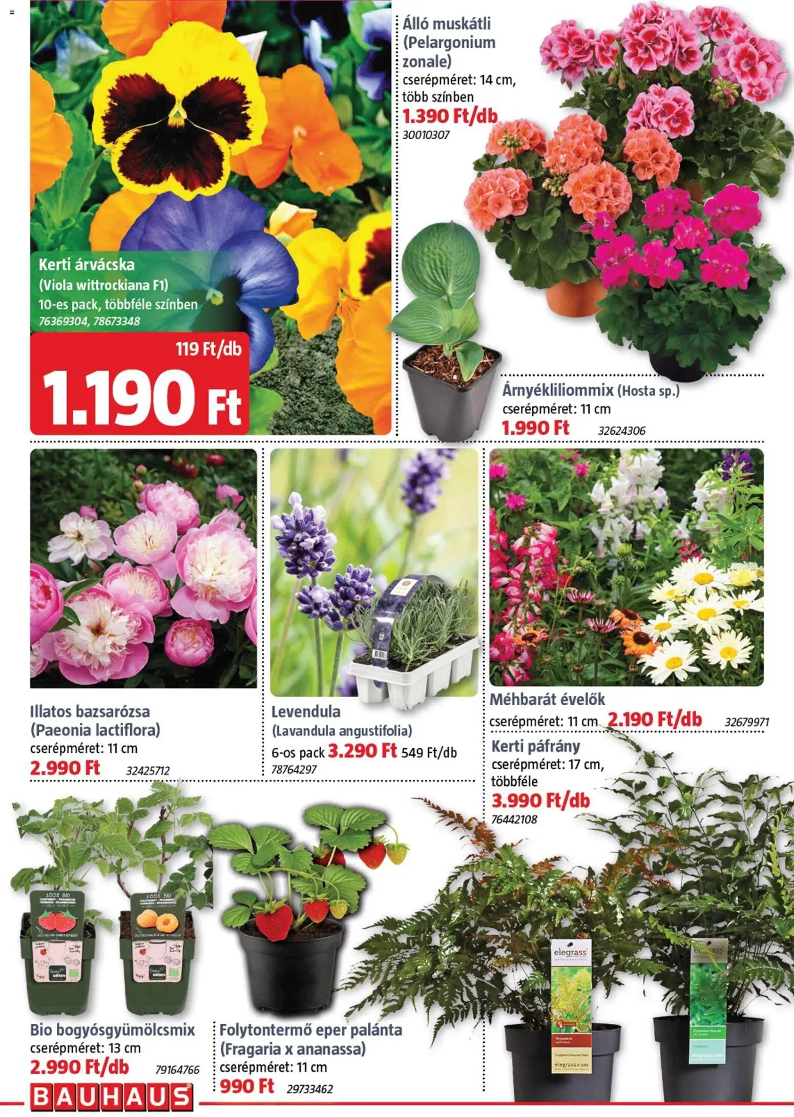 Bauhaus akciós ujság - amely érvényes a következő dátumtól: 05.03.2026 | Oldal: 2 | Termékek: Árvácska, Eper, Levendula