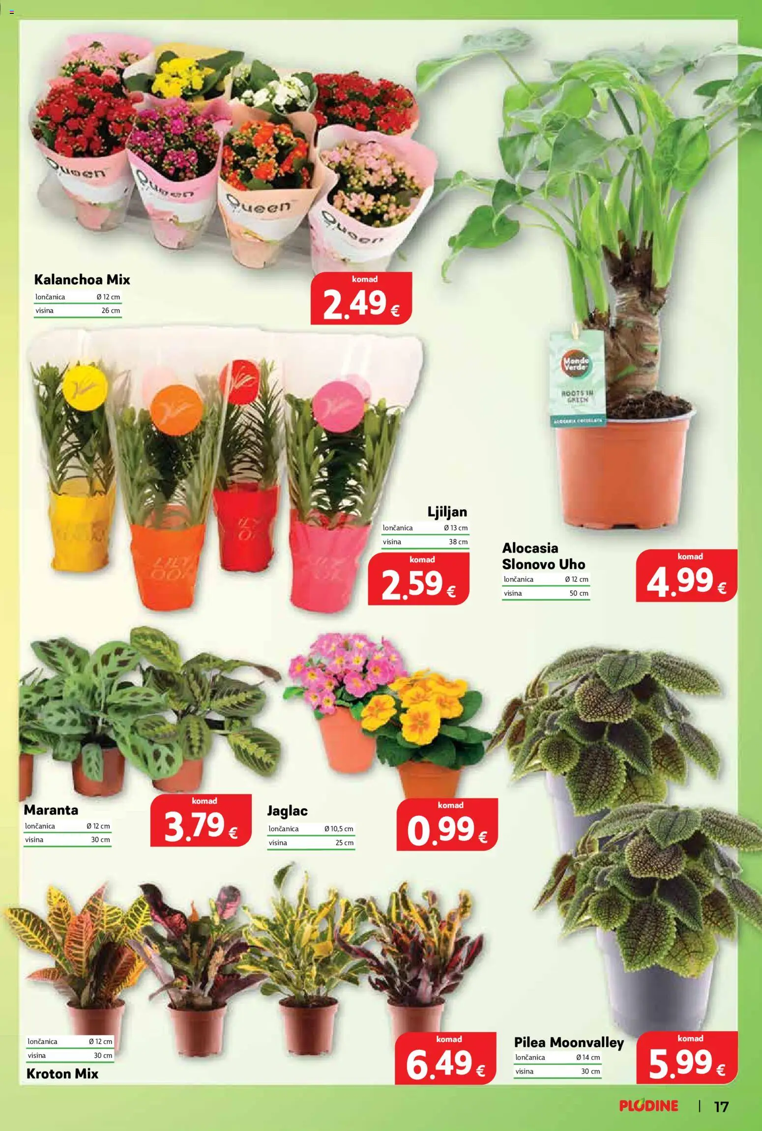 Plodine katalog | vrijedi od 07.01.2026 | Stranica: 17