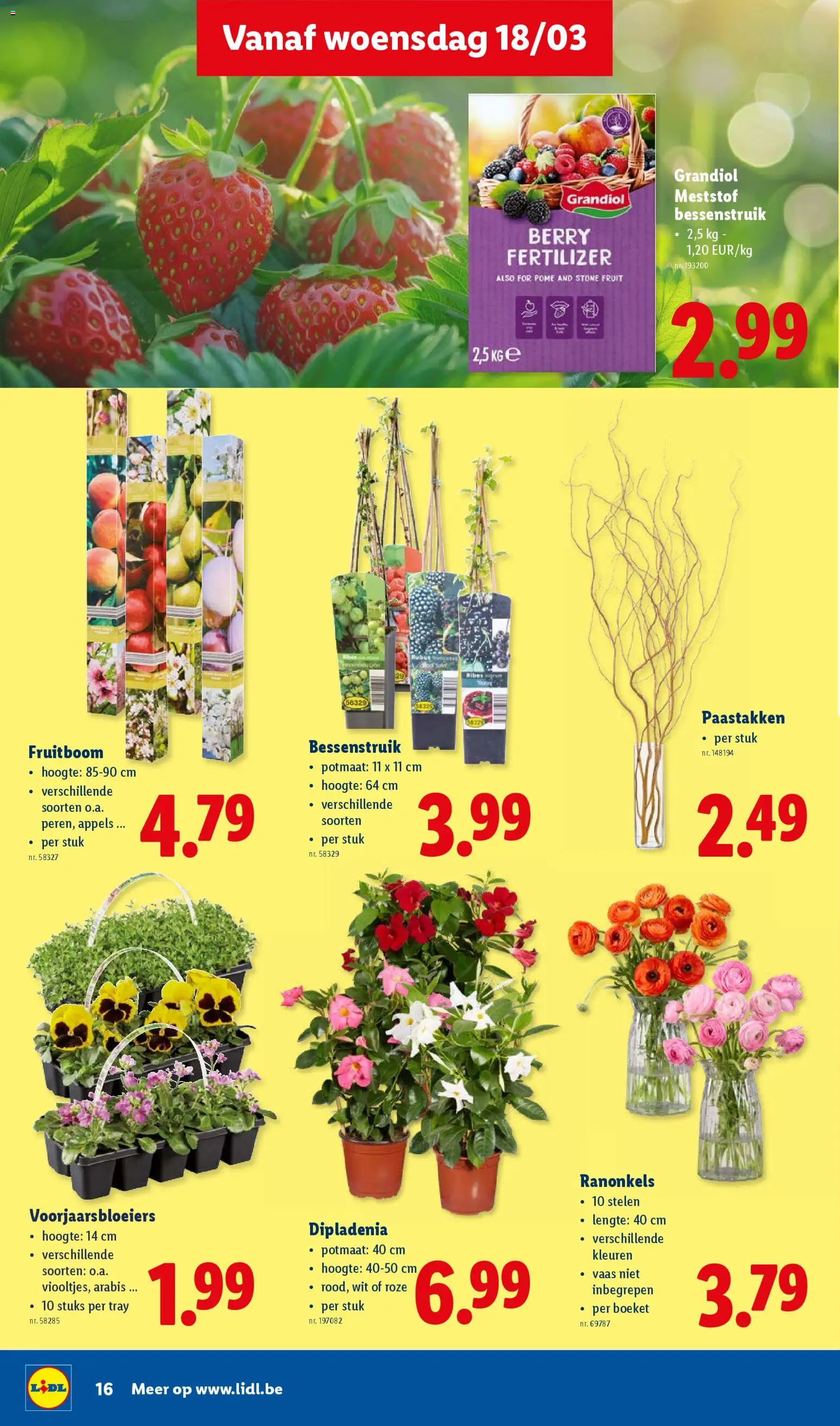 {H1} | Pagina: 16 | Producten: Appels, Fruit, Vaas