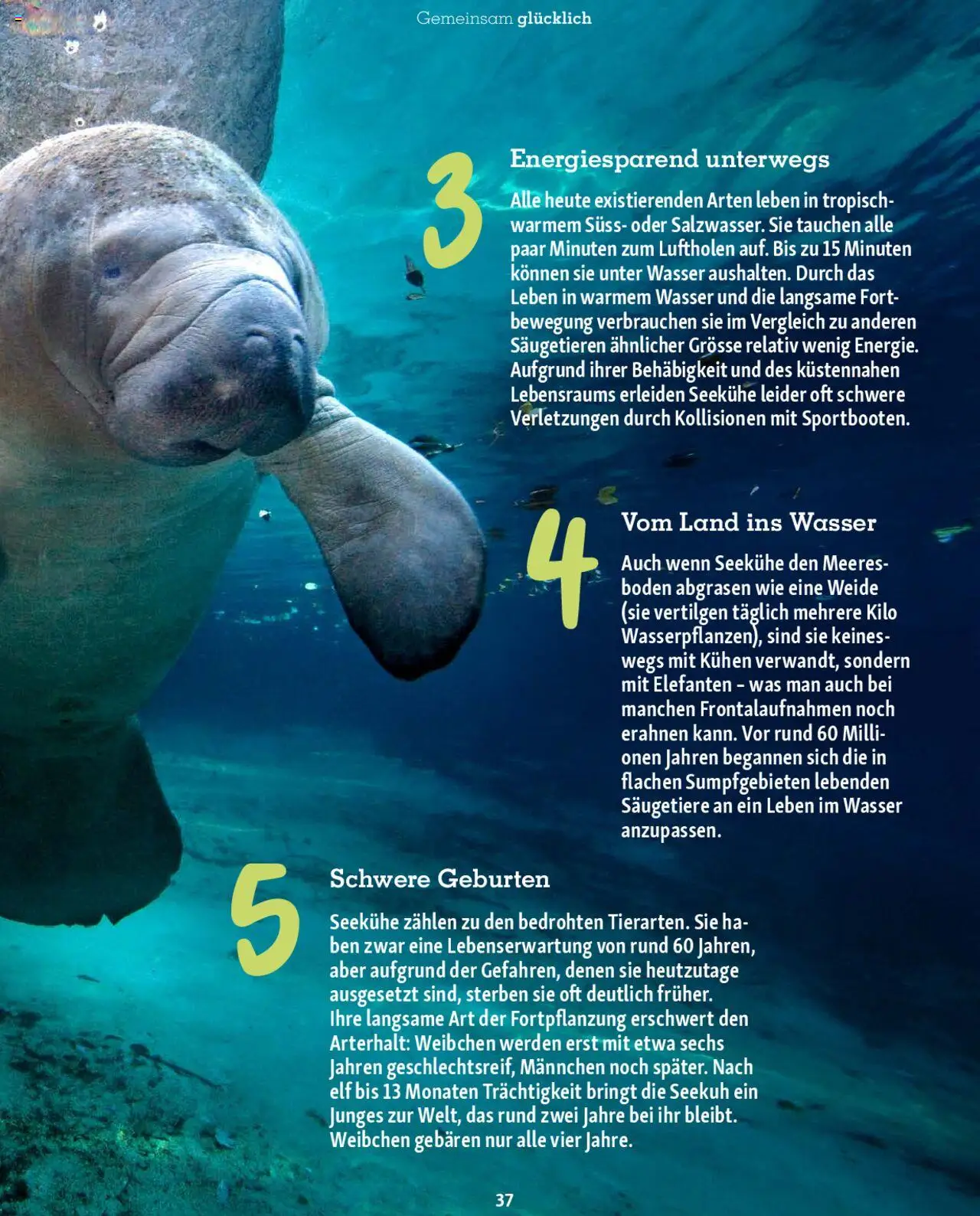 Fressnapf Magazin ab 01.07.2025 | Seite: 37 | Produkte: Wasser