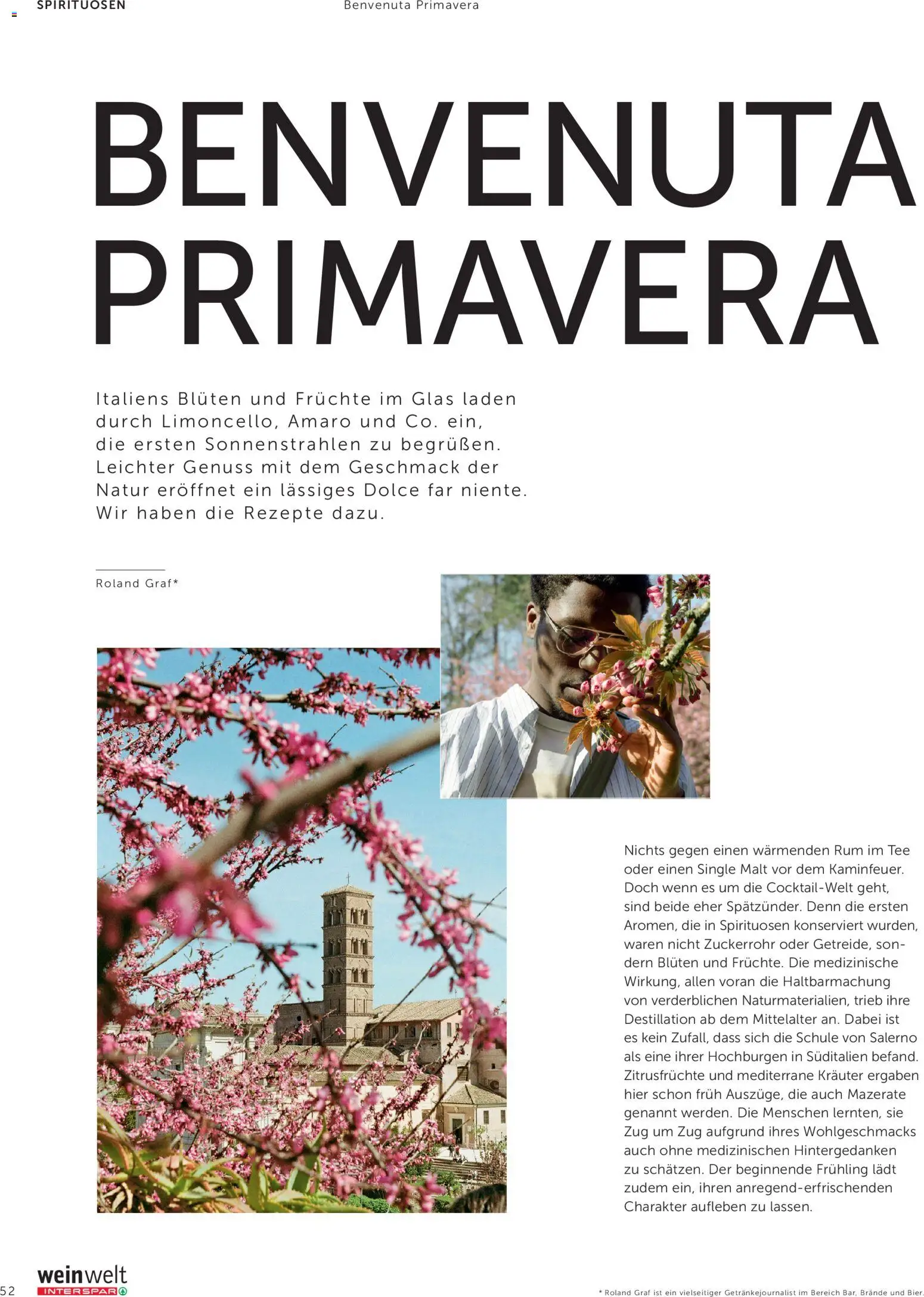 Interspar Meine Weinwelt Frühling 2026 gültig ab 05.03.2026 | Seite: 52 | Produkte: Vihreä pesto, Tee