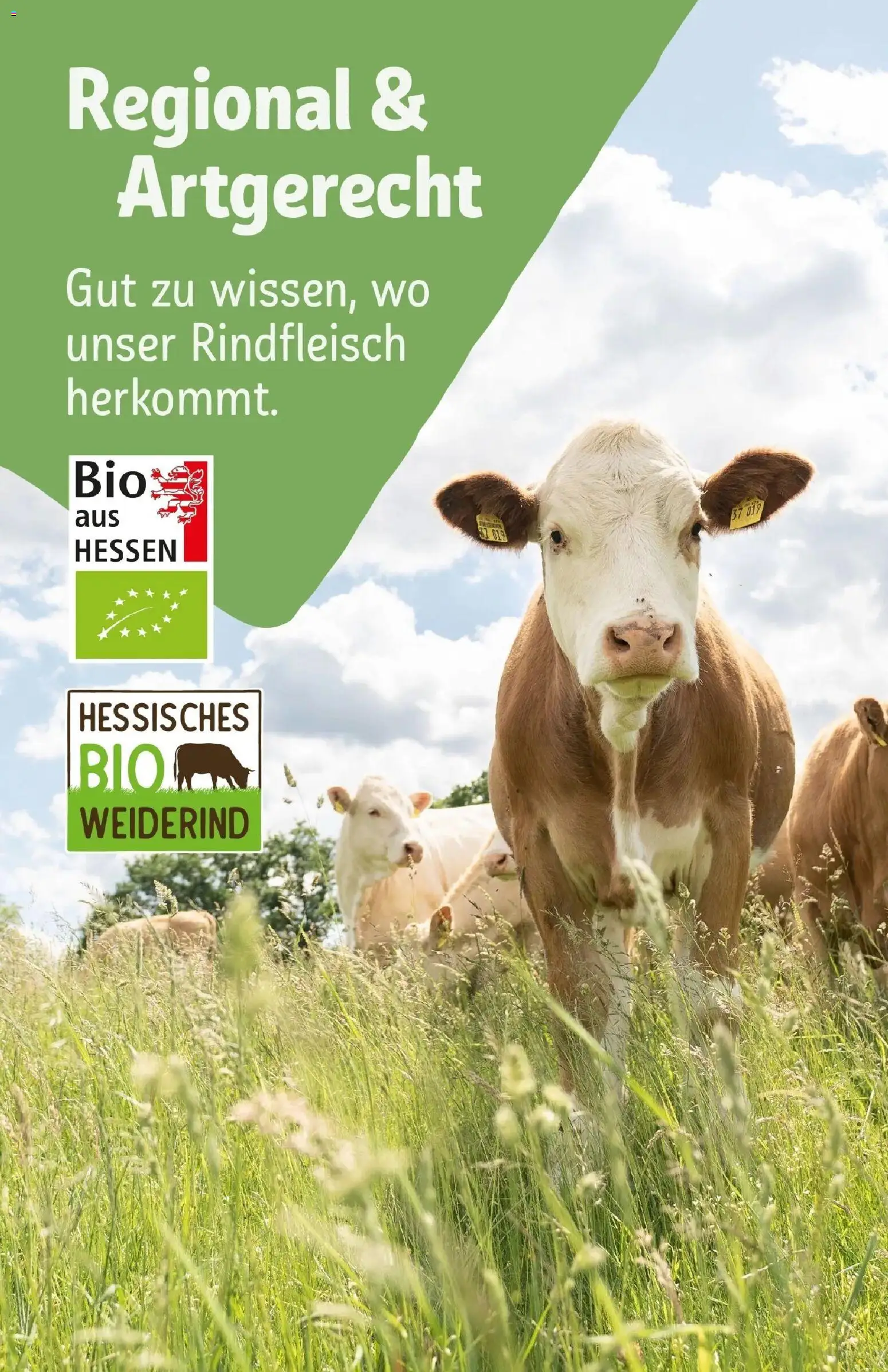 Rewe Prospekt Rodgau/Dudenhofen	 – gültig ab 30.03.2026 | Seite: 45 | Produkte: Rindfleisch