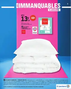 E.Leclerc - Prévisualisation de KIT COUETTE 140X200 CM + 1 OREILLER 60X60 CM, 1 KIT COUETTE 140X200 CM + 1 OREILLER 60X60 CM valide à partir de 13.01.2026 | Page: 3 | Produits: Pêche, Enveloppe, Oreiller, Couette