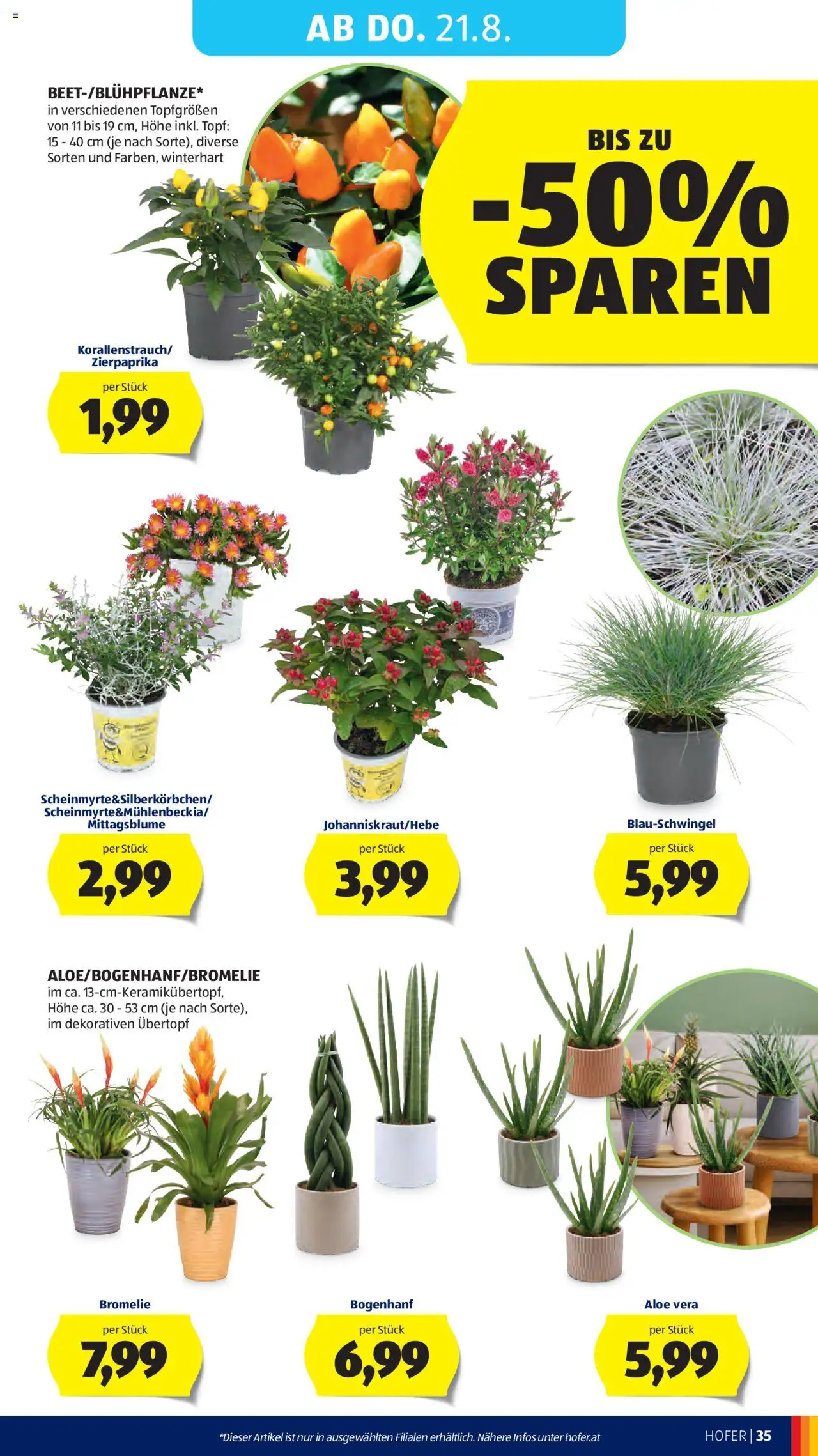 Hofer AT akciós ujság - amely érvényes a következő dátumtól: 14.08.2025 | Oldal: 39 | Termékek: Aloe vera