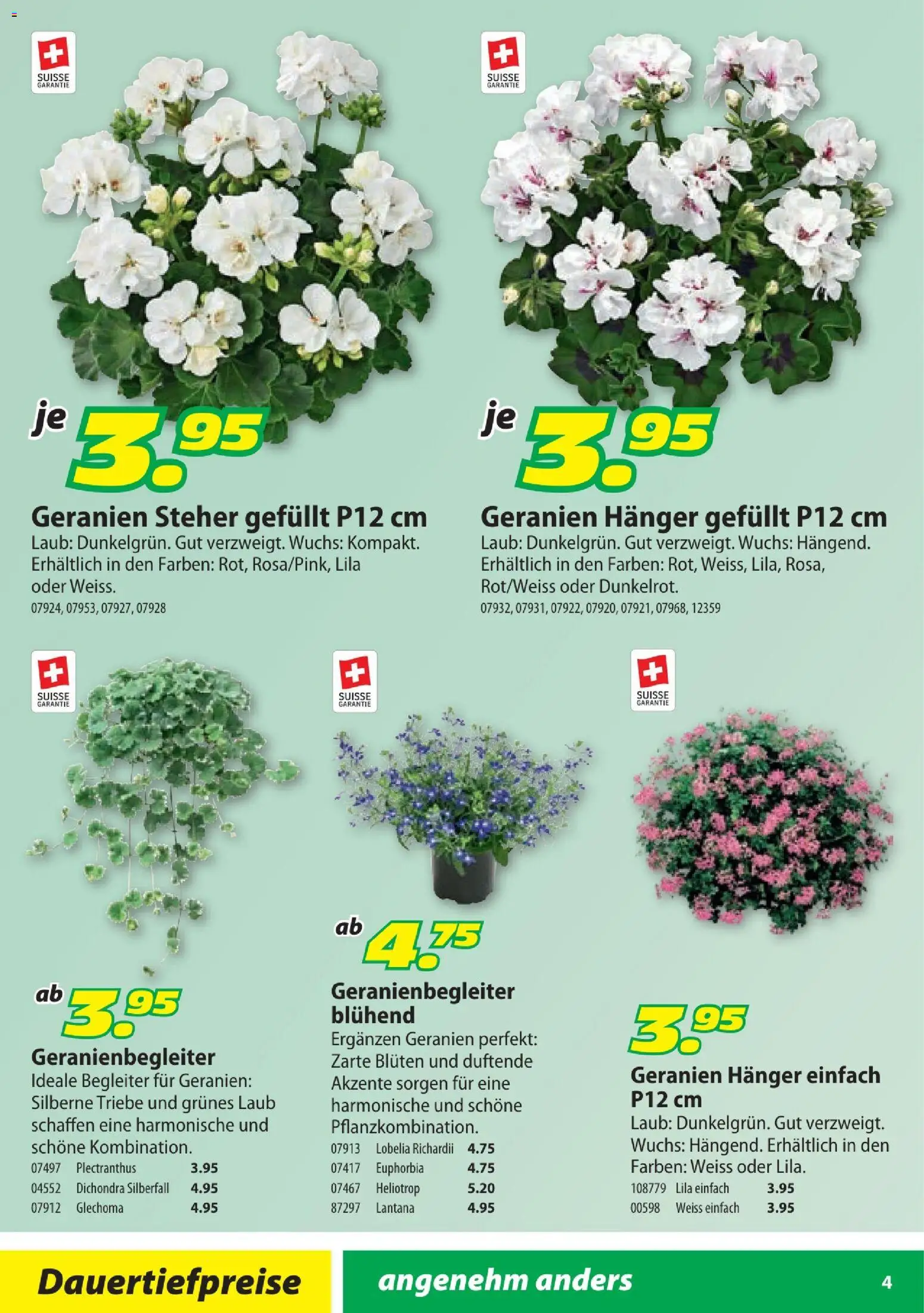 Landi aktionen Geranien – gültig ab 10.04.2026 | Seite: 4