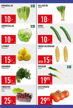 Matdax reklamblad aktuell från 08.09.2025 | Sida: 2 | Produkter: Vindruvor, Romansallad, Salladslök, Gurka