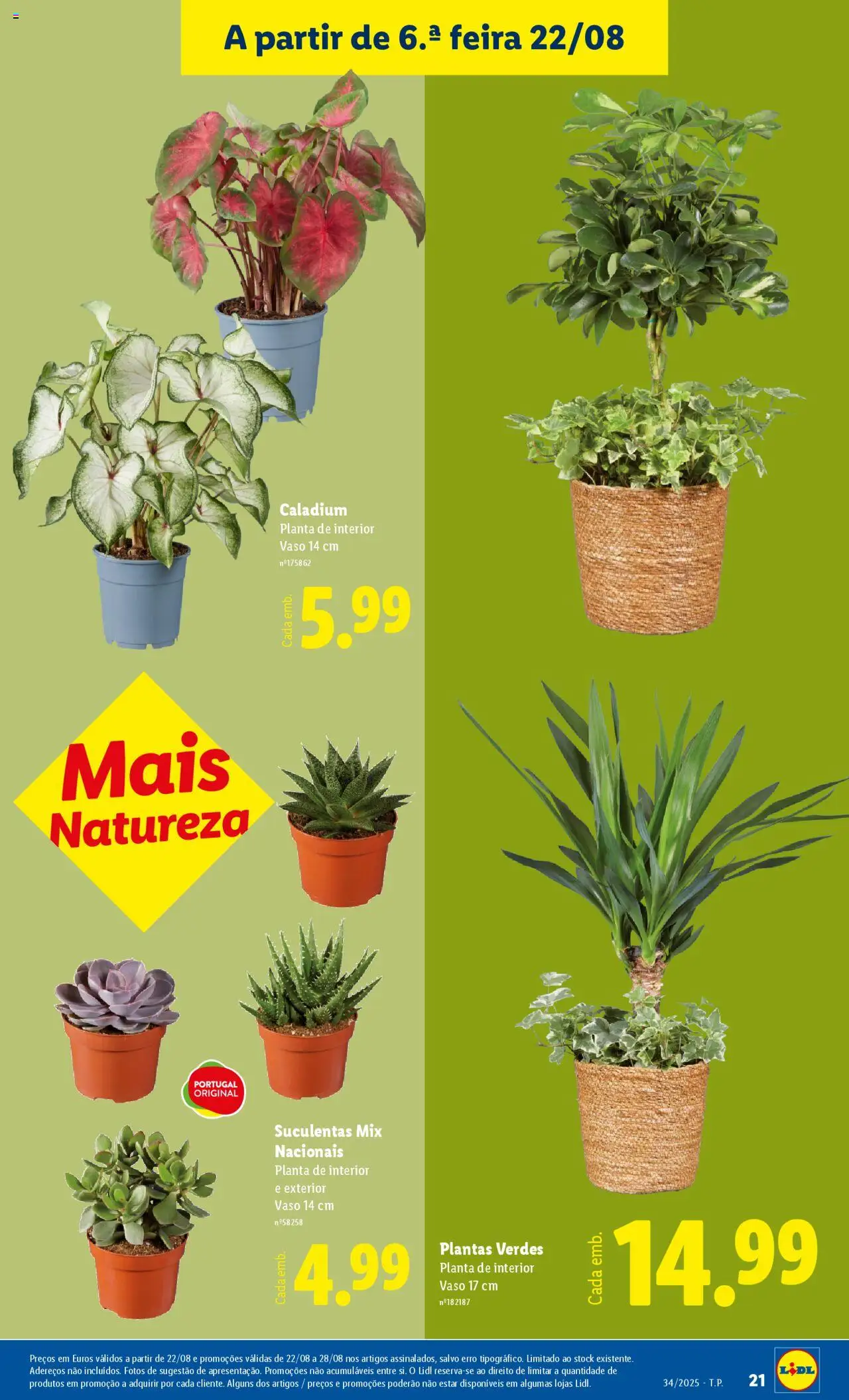 Lidl Novidades │ válido de 18.08.2025 | Página: 21 | Produtos: Vaso