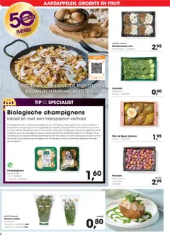  | Pagina: 2 | Producten: Meloen, Champignon, Fruit