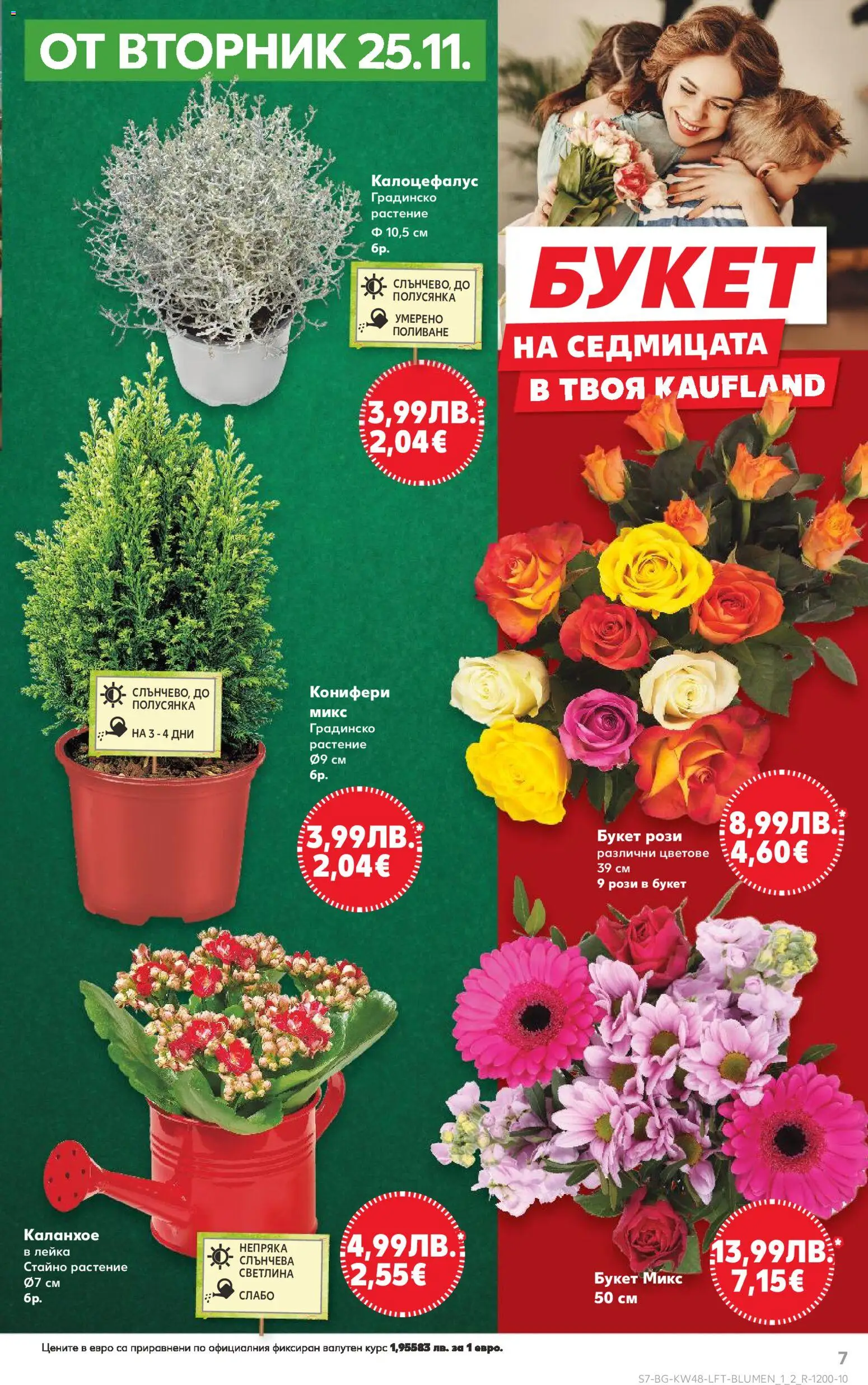 {H1} | Страница: 7 | Продукти: Лейка