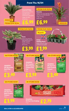 Preview of Lidl - Weekly valid from 16.04.2026 | Page: 21