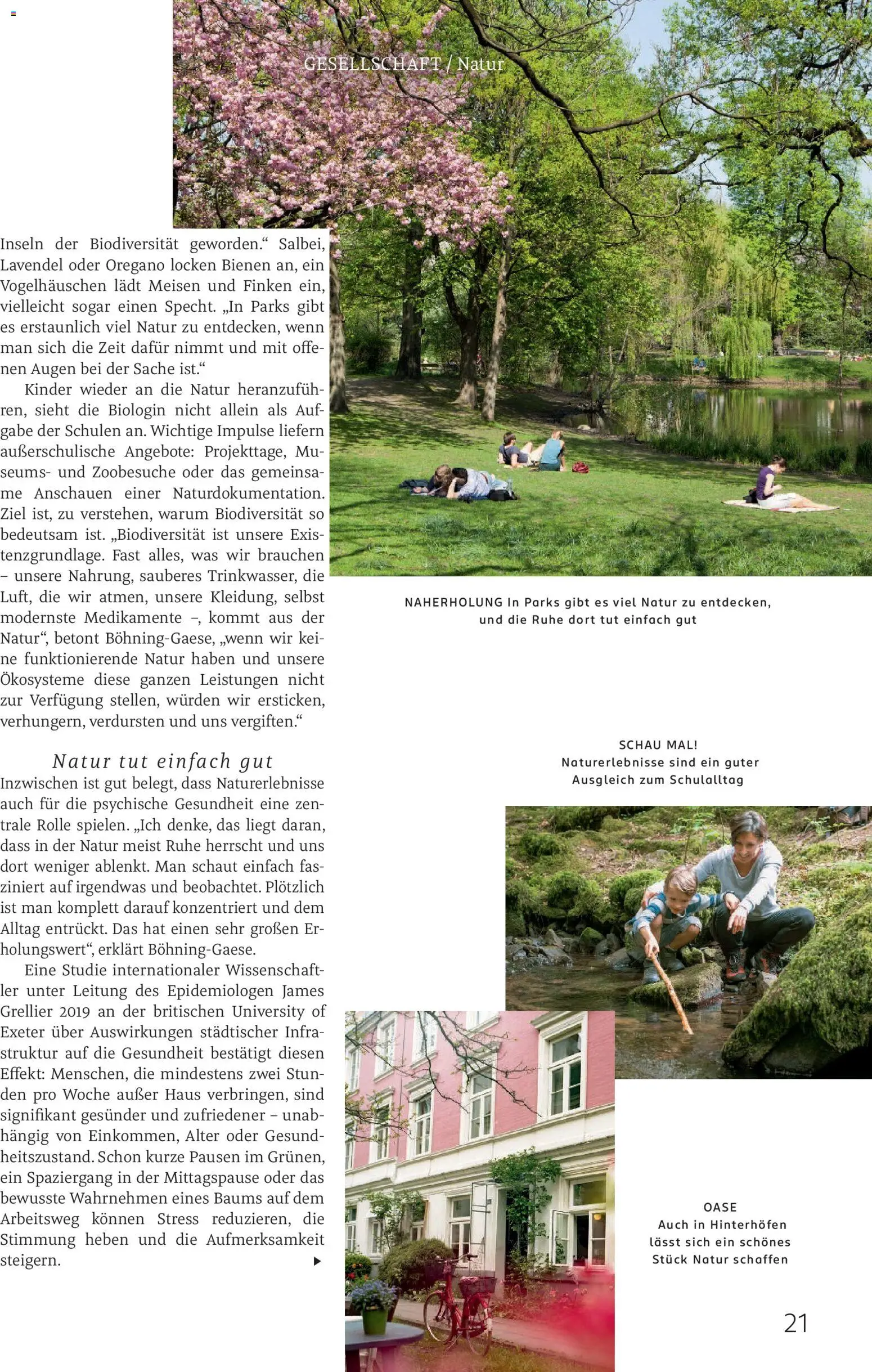 Rossmann Centaur – gültig ab 01.03.2026 | Seite: 21 | Produkte: Lavendel