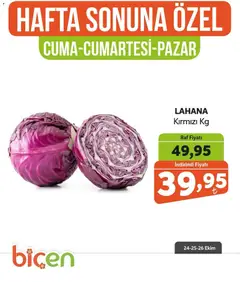 24.10.2025 tarihinden itibaren geçerli olan Biçen Market kataloğu önizlemesi