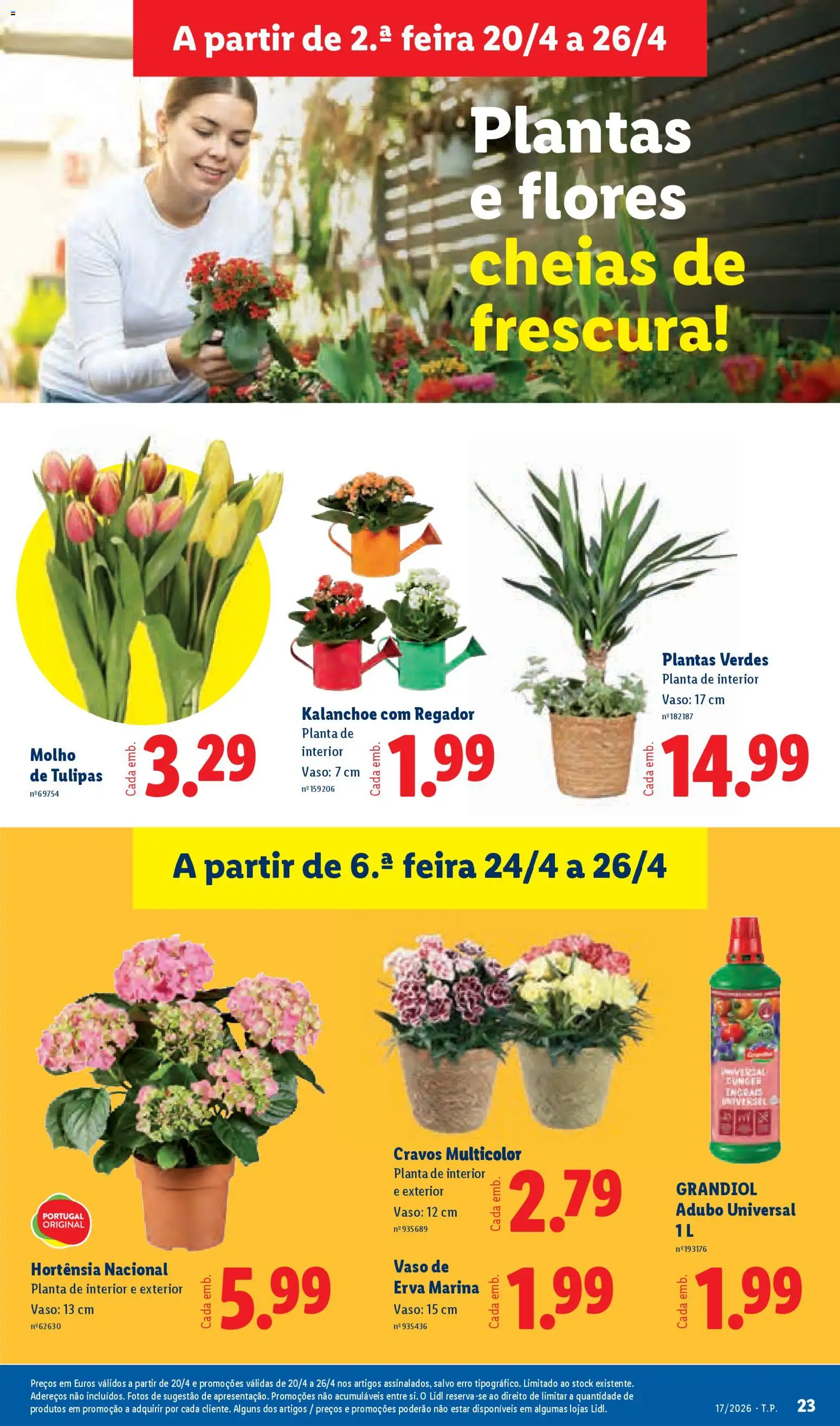 Lidl folheto │ válido de 20.04.2026 | Página: 23 | Produtos: Flores, Vaso