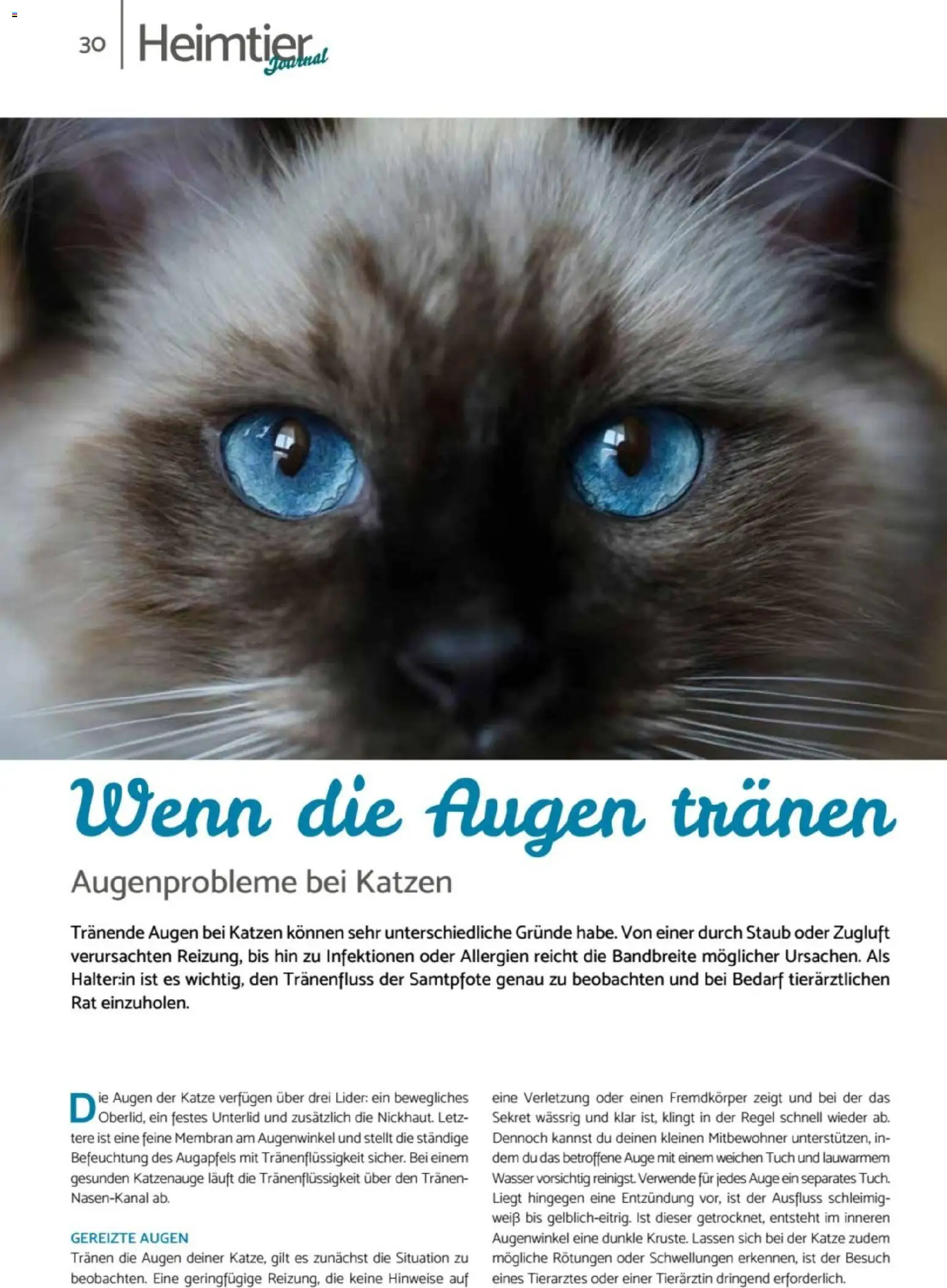zookauf - Heimtier Journal – gültig ab 01.12.2025 | Seite: 30 | Produkte: Wasser