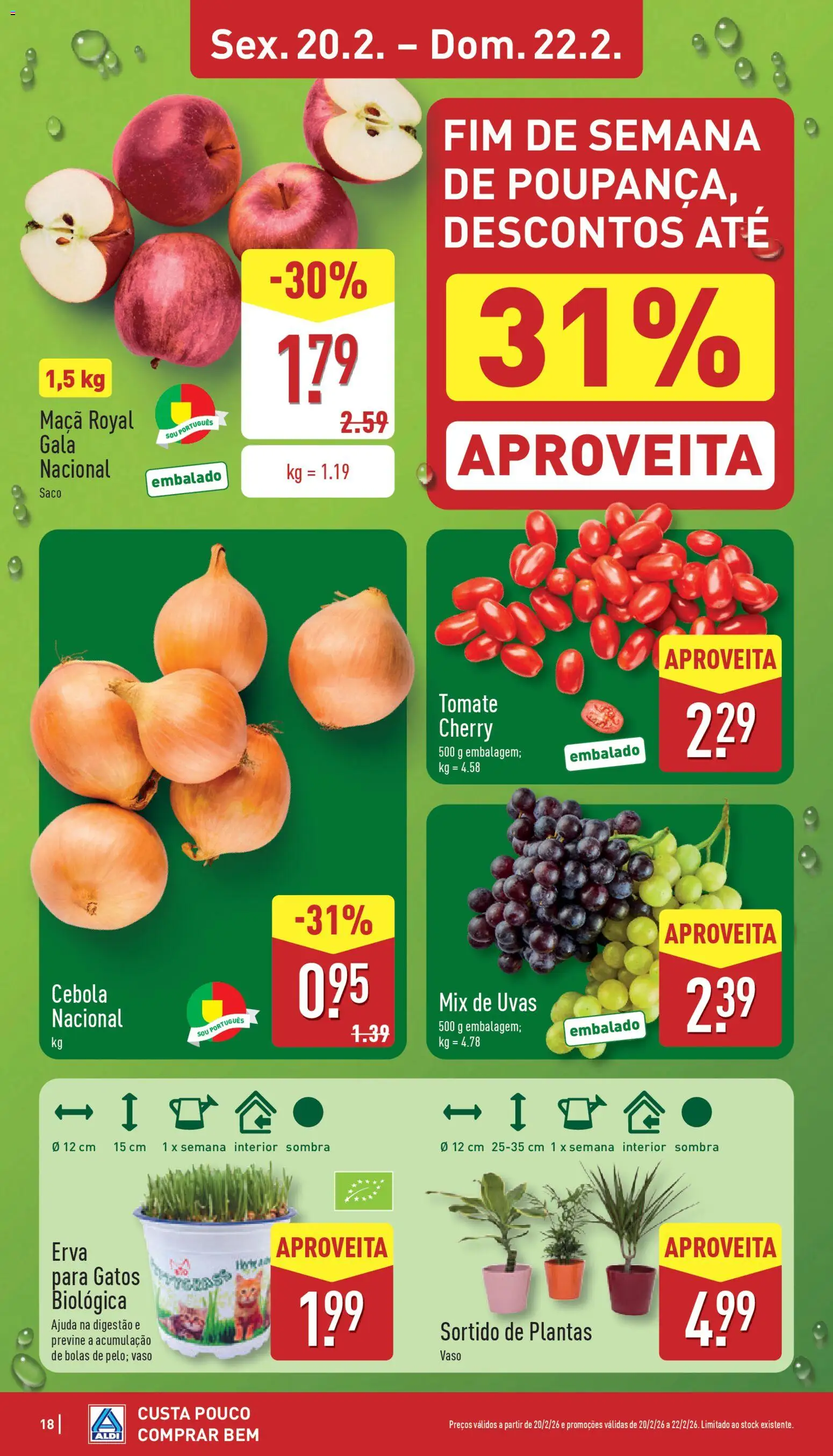 Aldi folheto │ válido de 16.02.2026 | Página: 18