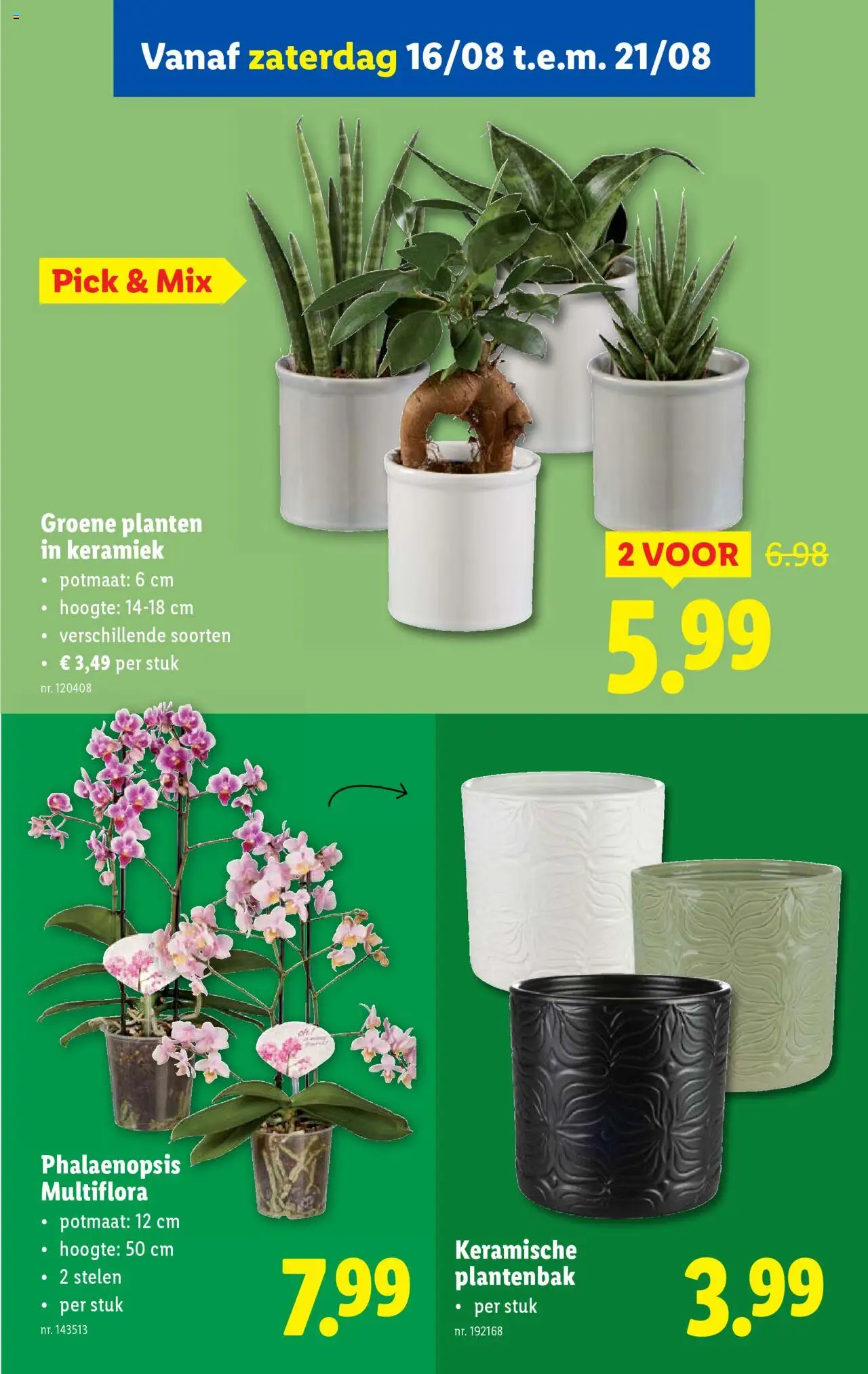  | Pagina: 51 | Producten: Keramiek, Pot