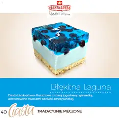 Pogląd oferty "Ciasto Szejka, Ciasto ucierane, przekładane pastą pistacjową i masą śmietanowo-pistacjową, pokryte chrupką orzechową." - ważna od 04.06.2025 | Strona: 40