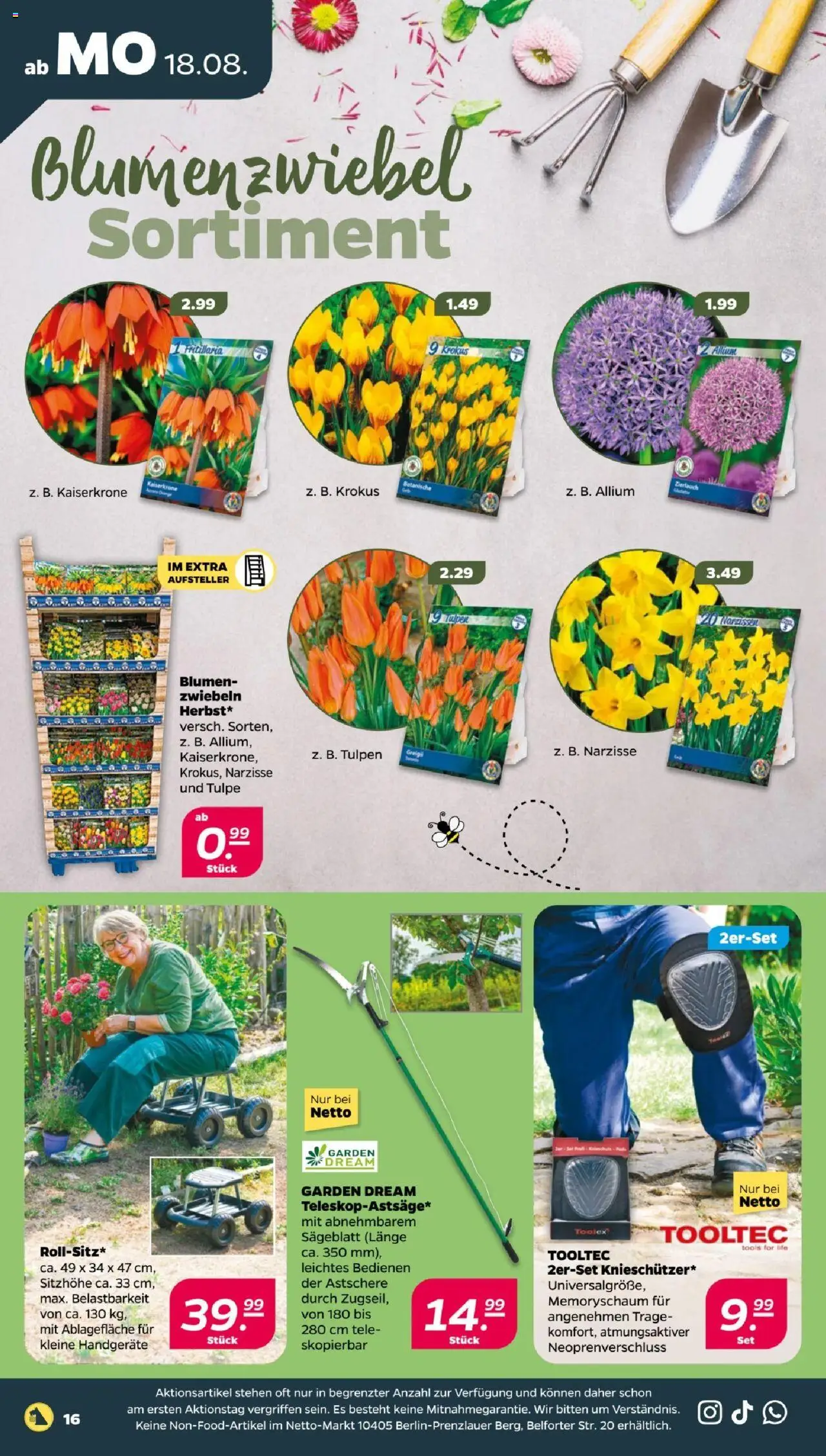 Netto Prospekt 	 - gültig ab dem 18.08.2025 | Seite: 18 | Produkte: Blumen, Zwiebeln