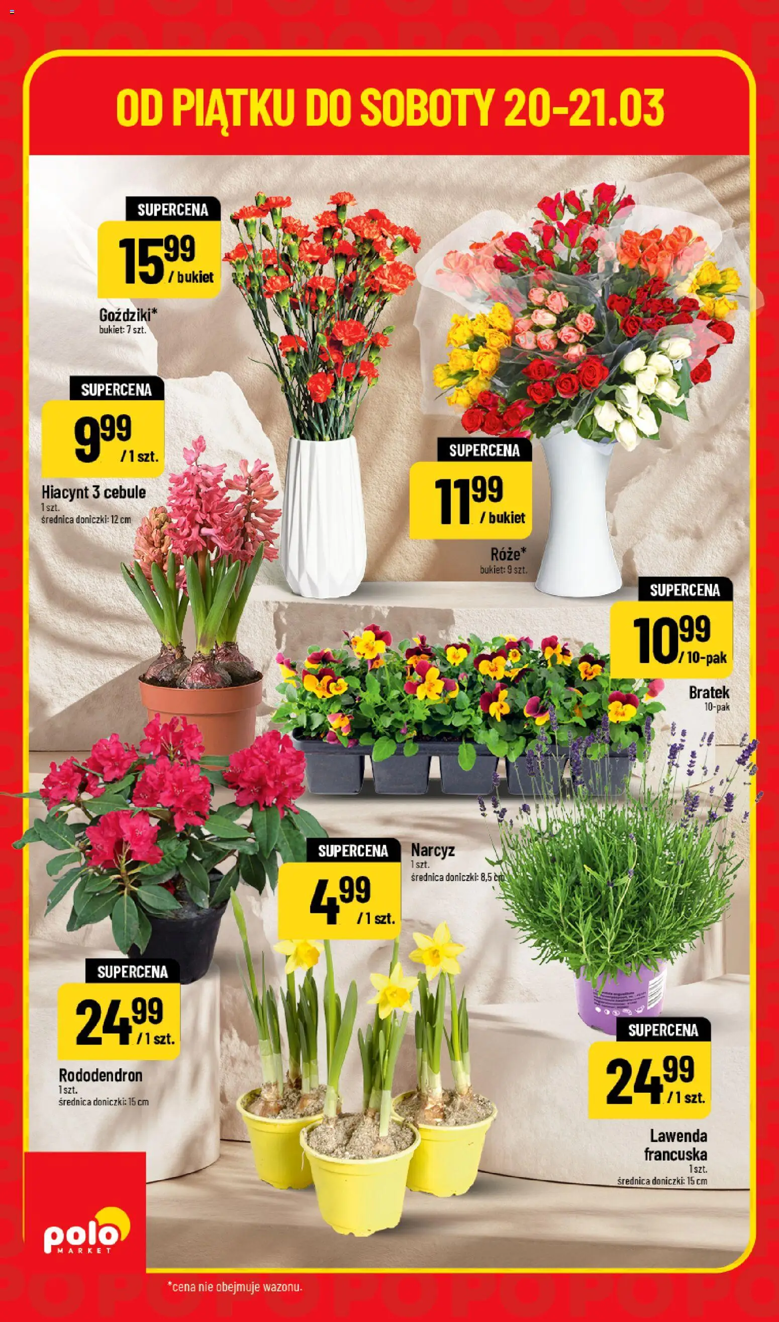 POLOmarket gazetka - Super Hity od 20.03.2026 | Strona: 4 | Produkty: Doniczki, Cebule
