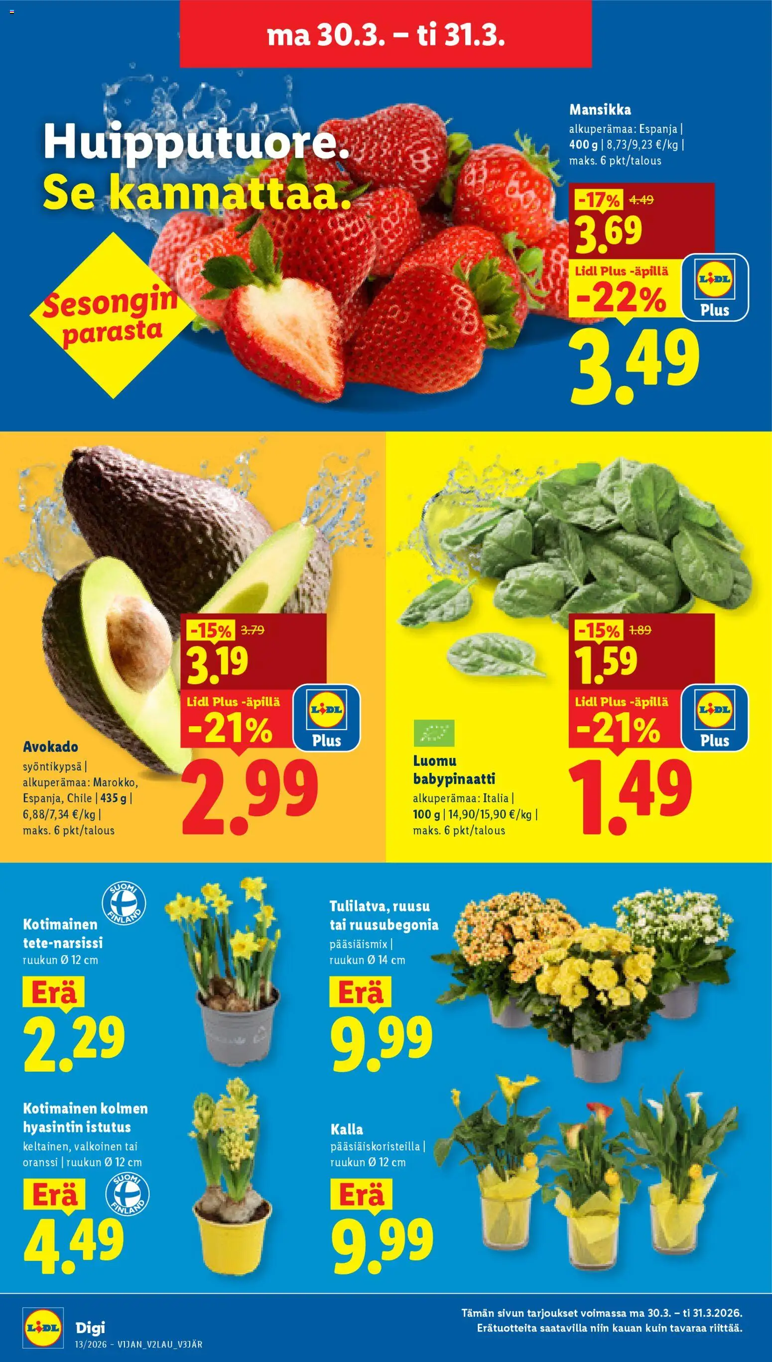 Lidl tarjoukset - Tampere – voimassa 26.03.2026 alkaen | Sivu: 21 | Tuotteet: Avokado