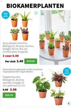  | Pagina: 3 | Producten: Kunstmest, Kamerplanten