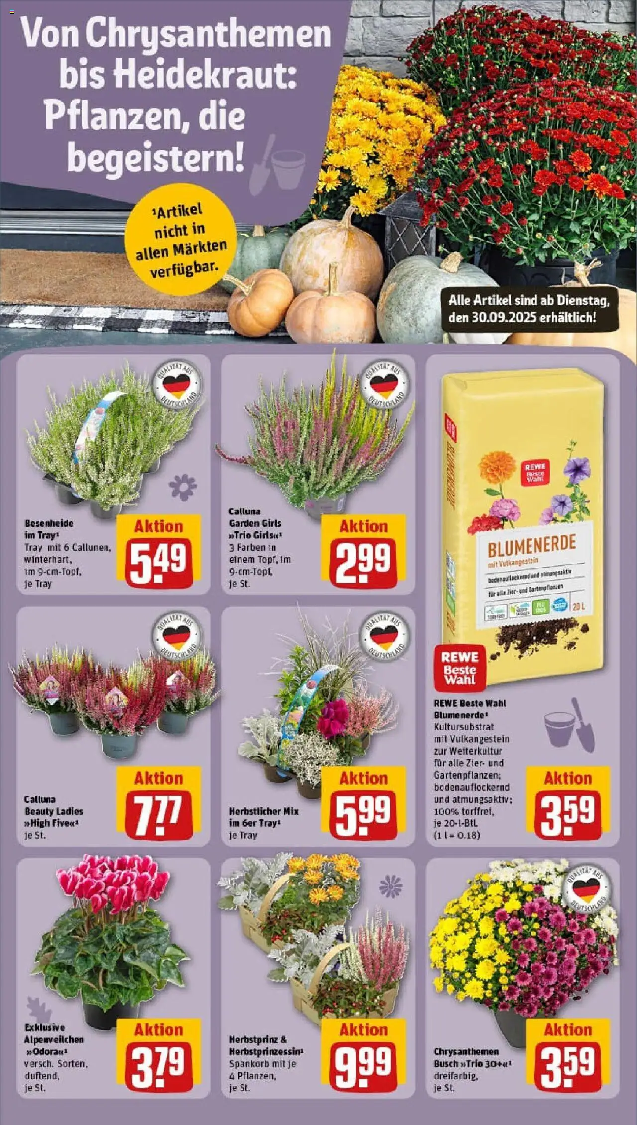 Rewe prospekt Hamburg/Bramfeld	 – gültig ab 28.09.2025 | Seite: 13 | Produkte: Blumenerde