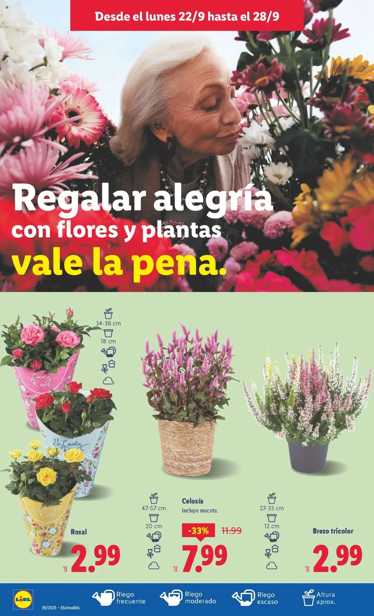 Lidl folleto │ válido desde el 22.09.2025 | Página: 38