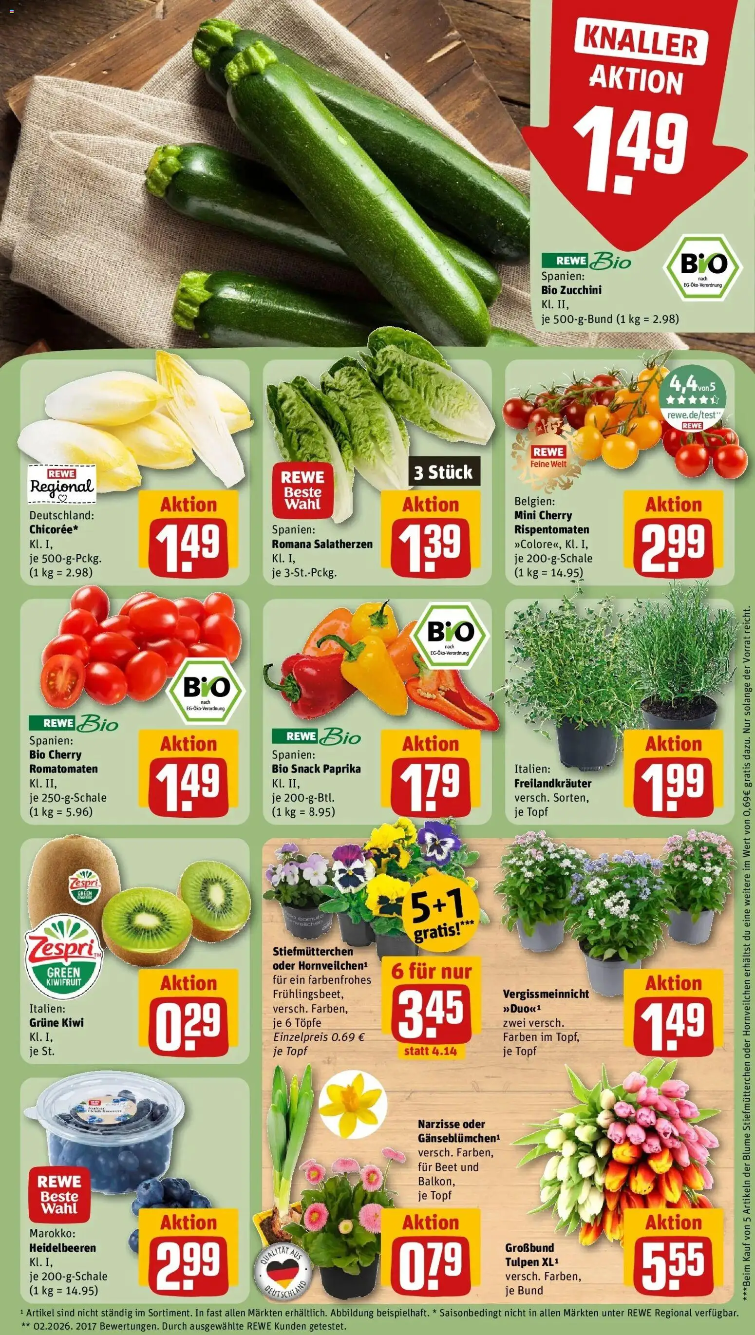 Rewe Prospekt Sonsbeck	 – gültig ab 15.03.2026 | Seite: 5 | Produkte: Stiefmutterchen, Paprika, Zucchini, Kiwi