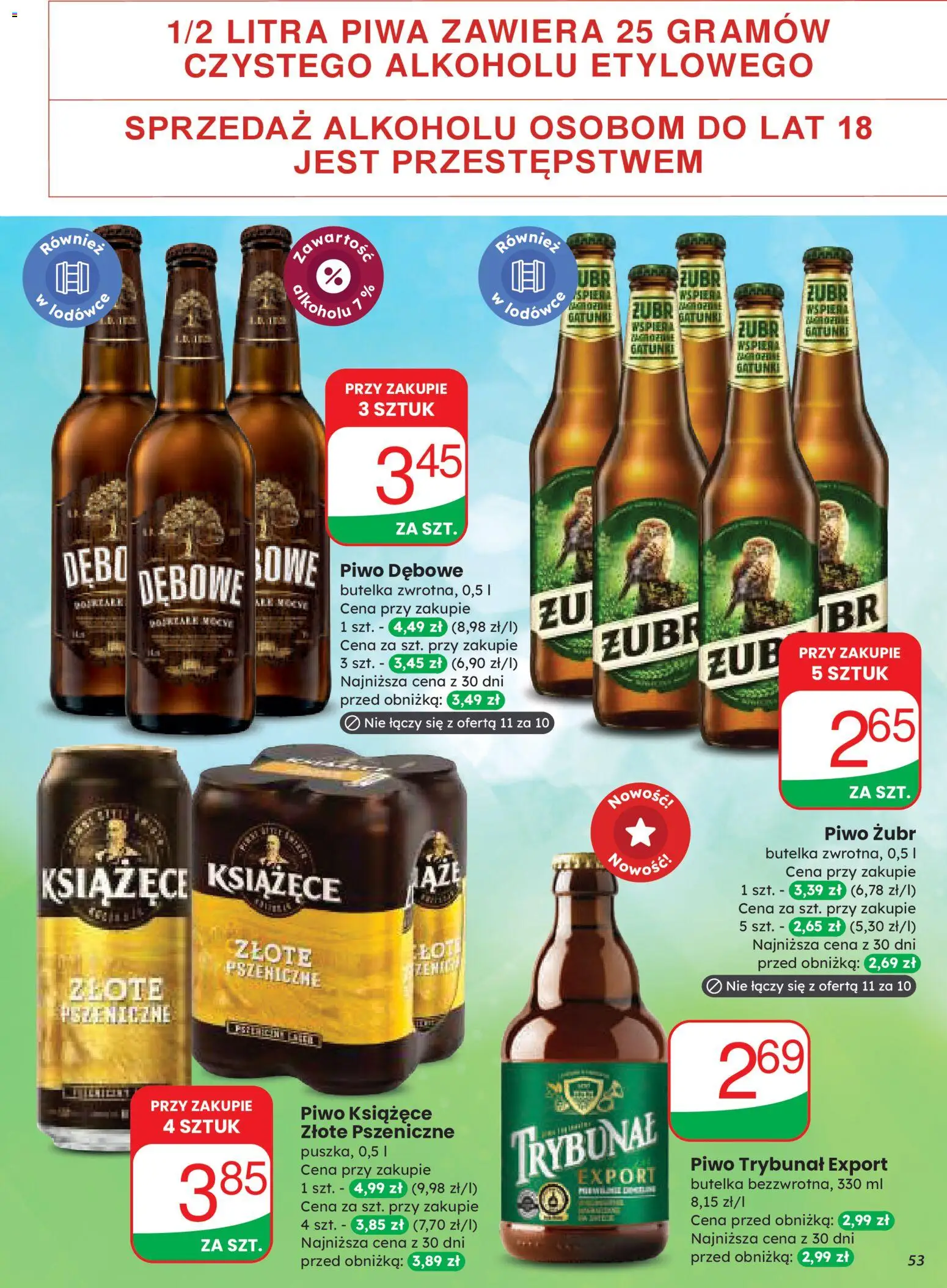 Dino Gazetka od 03.12.2025 | Strona: 53