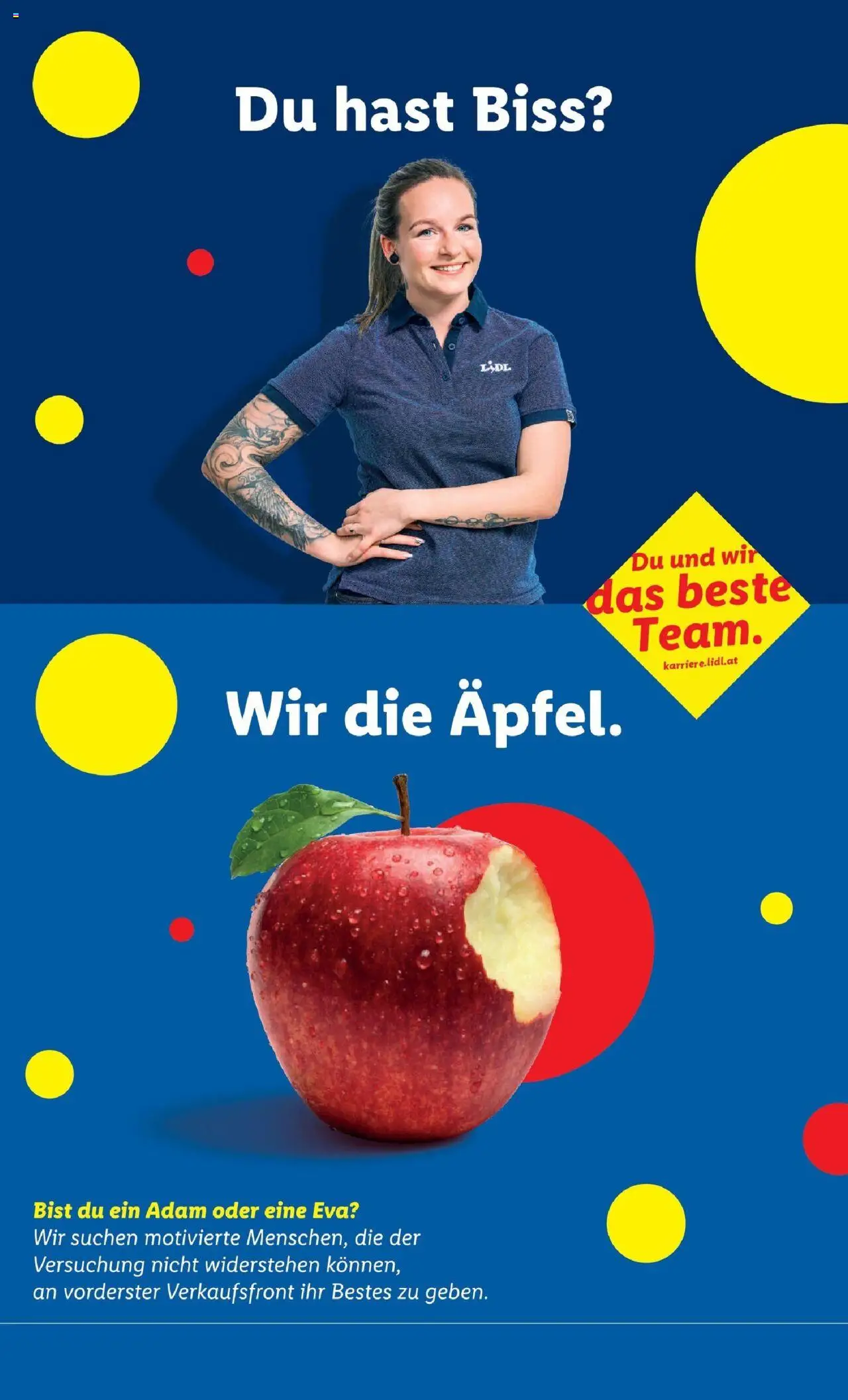 Lidl Flugblatt - Wien, Langenzersdorf, Zwettl gültig ab 02.10.2025 | Seite: 44