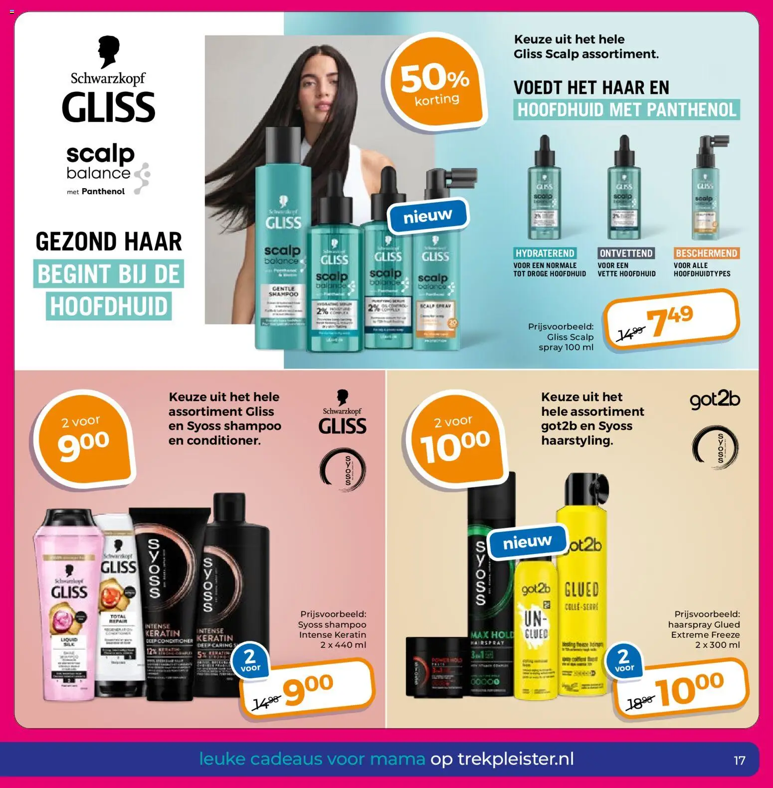 {H1} | Pagina: 17 | Producten: Shampoo, Conditioner, Haarspray