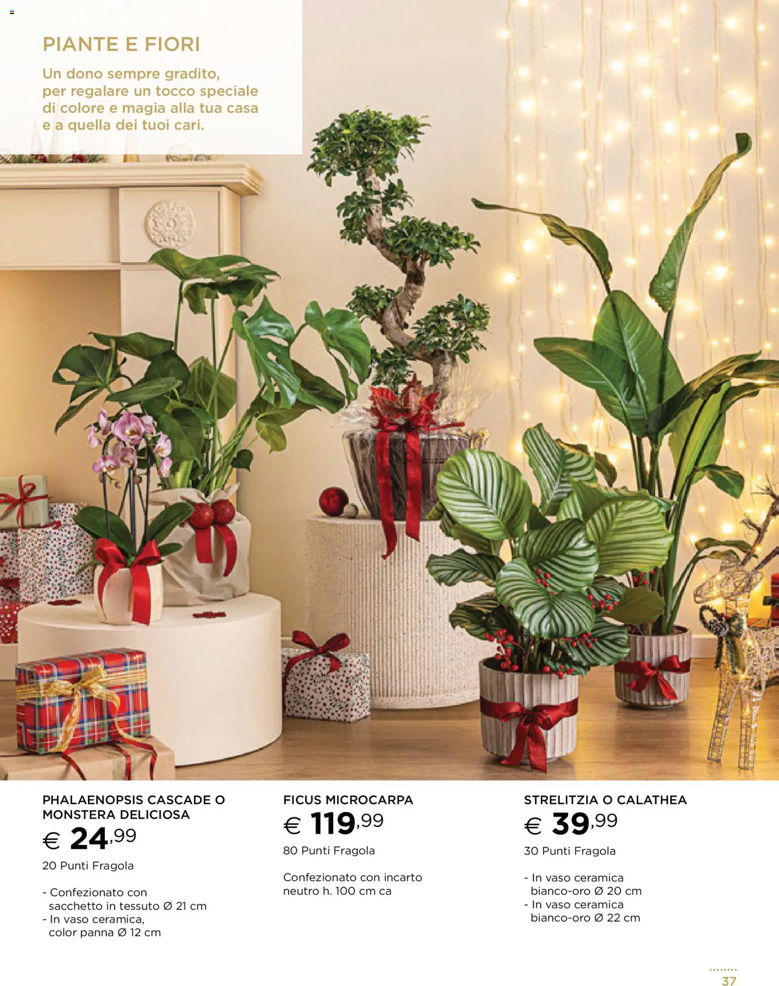 Volantino Esselunga S del 13.11.2025 | Pagina: 37 | Prodotti: Panna, Vaso