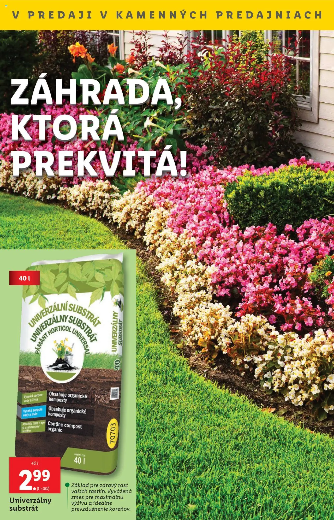 Lidl leták │ platný od 21.07.2025 | Strana: 43 | Produkty: Substrát