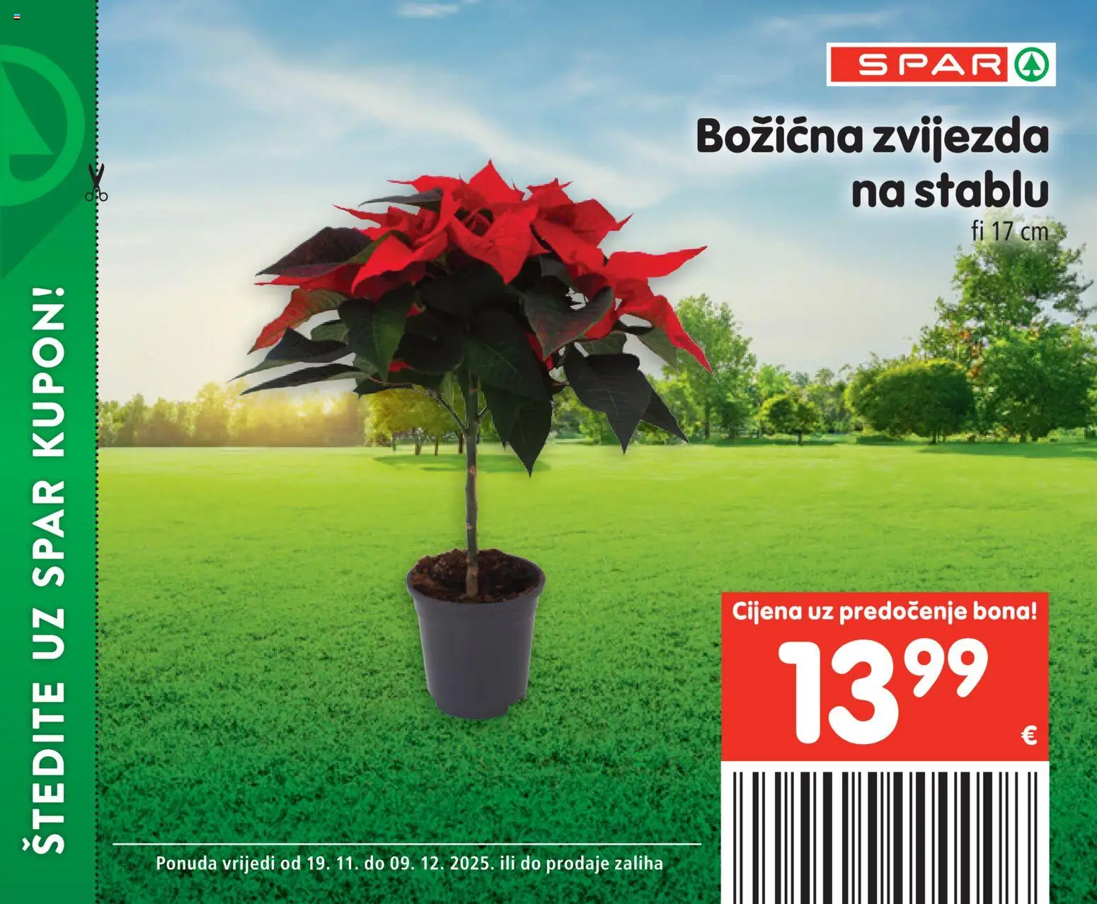 Spar katalog | vrijedi od 19.11.2025 | Stranica: 31