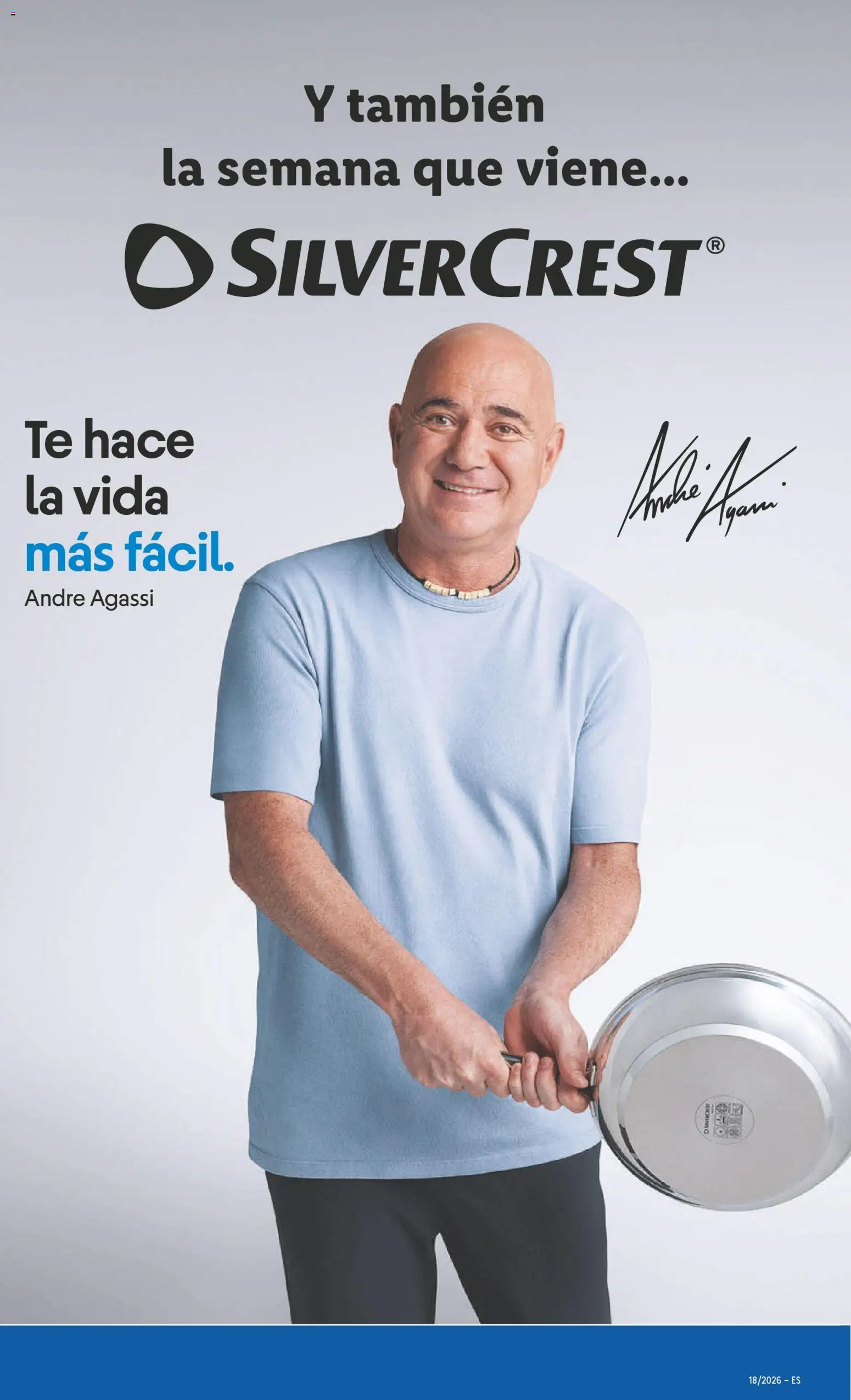 Lidl folleto de bazar │ válido desde el 27.04.2026 | Página: 31 | Productos: Té