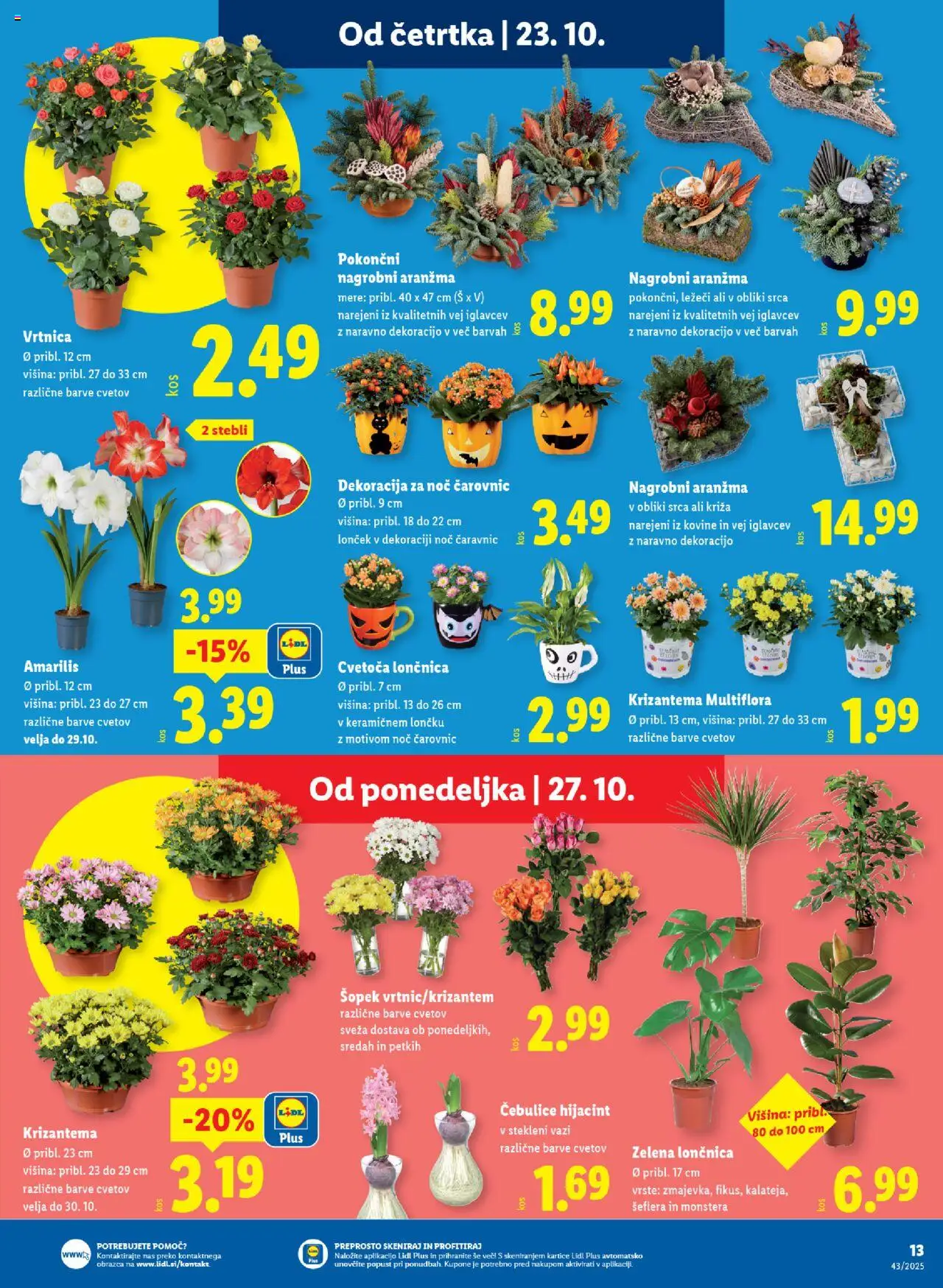Novi Lidl katalog ponudbe – veljaven od 23.10.2025 | Stran: 27 | Izdelki: Šopek, Zelena