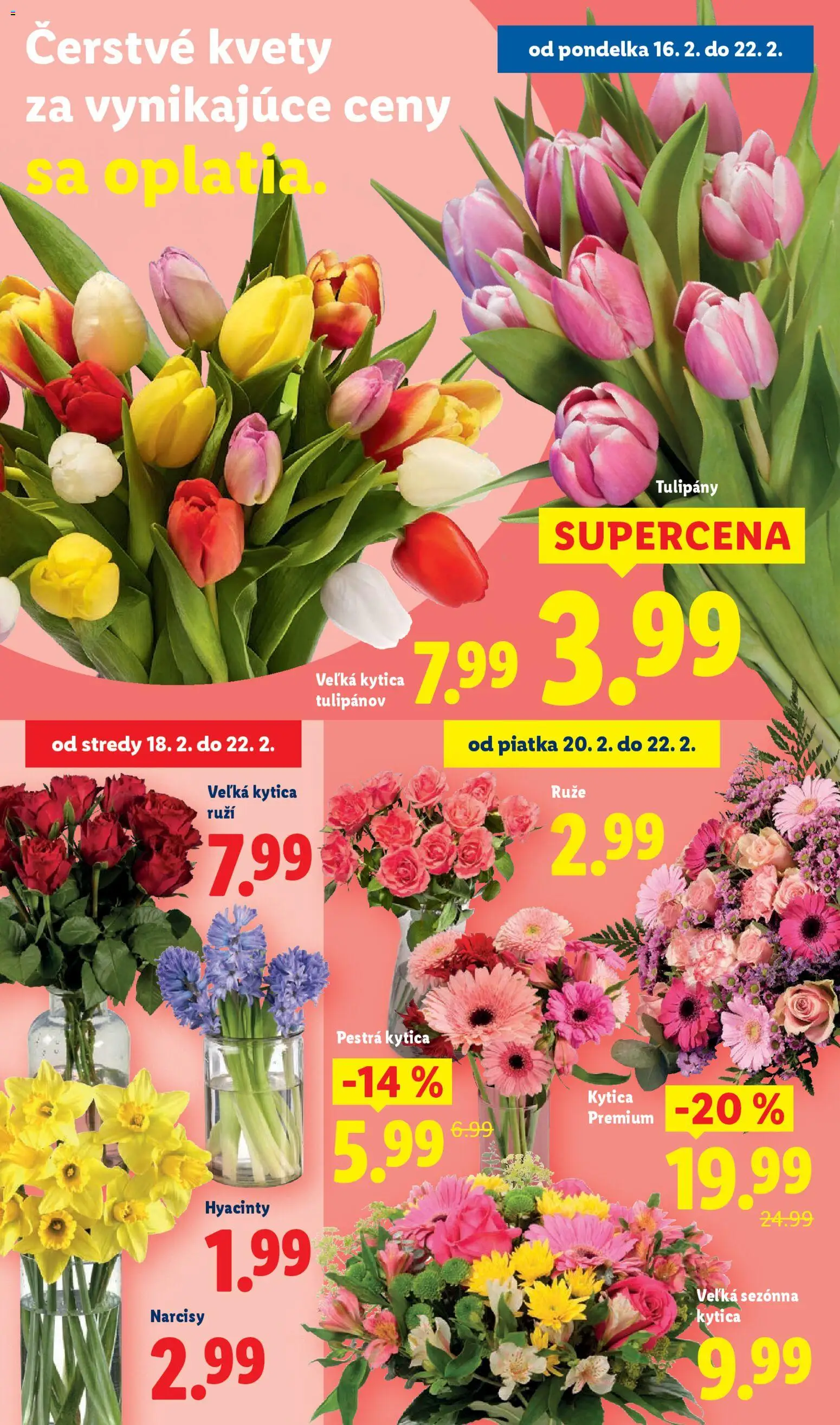 Nové Lidl akcie – leták je platný od 19.02.2026 | Strana: 70 | Produkty: Kvety, Tulipány, Ruže