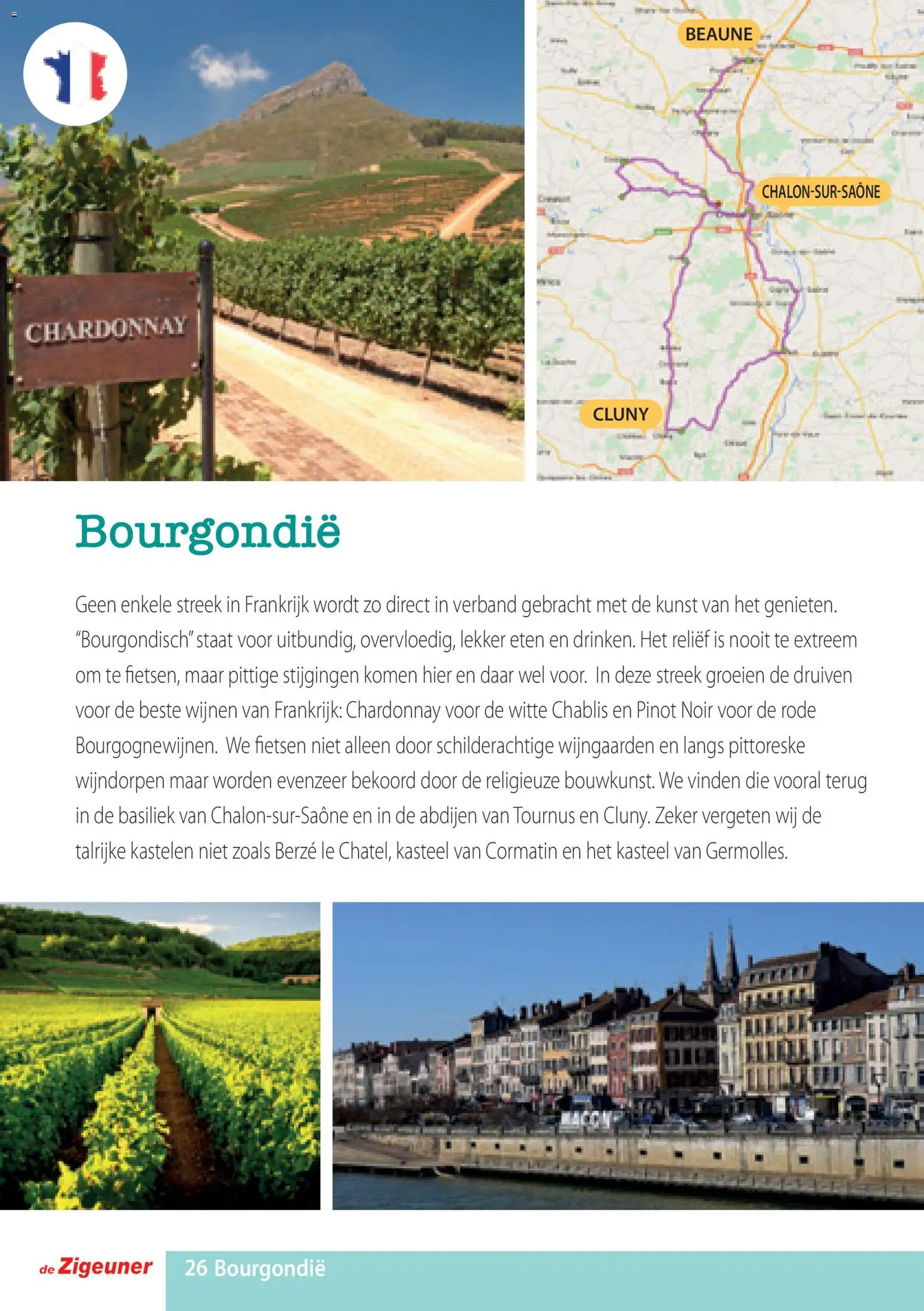 {H1} | Pagina: 26 | Producten: Druiven