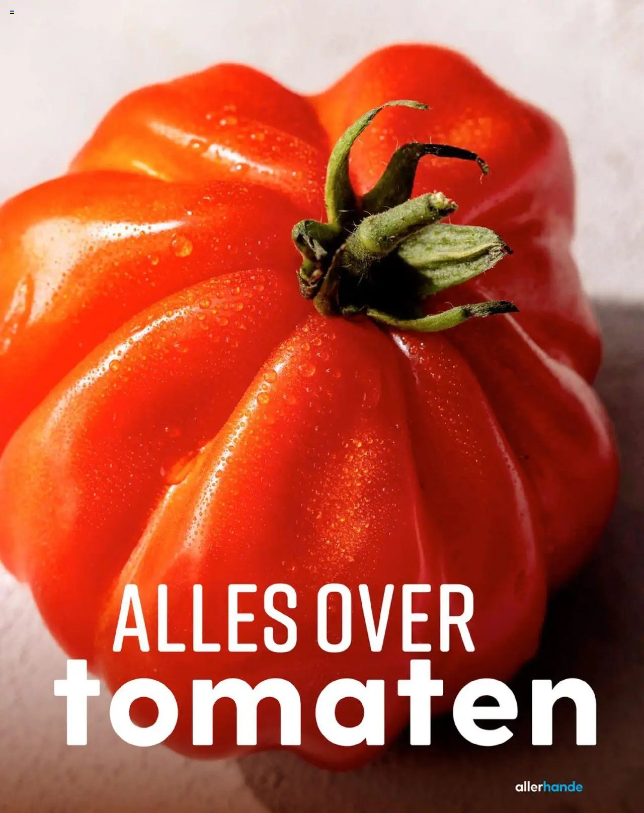  | Pagina: 53 | Producten: Tomaten