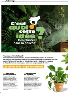 Mr. Bricolage - Prévisualisation de Mr. Bricolage Printemps 2026 valide à partir de 01.04.2026 | Page: 74