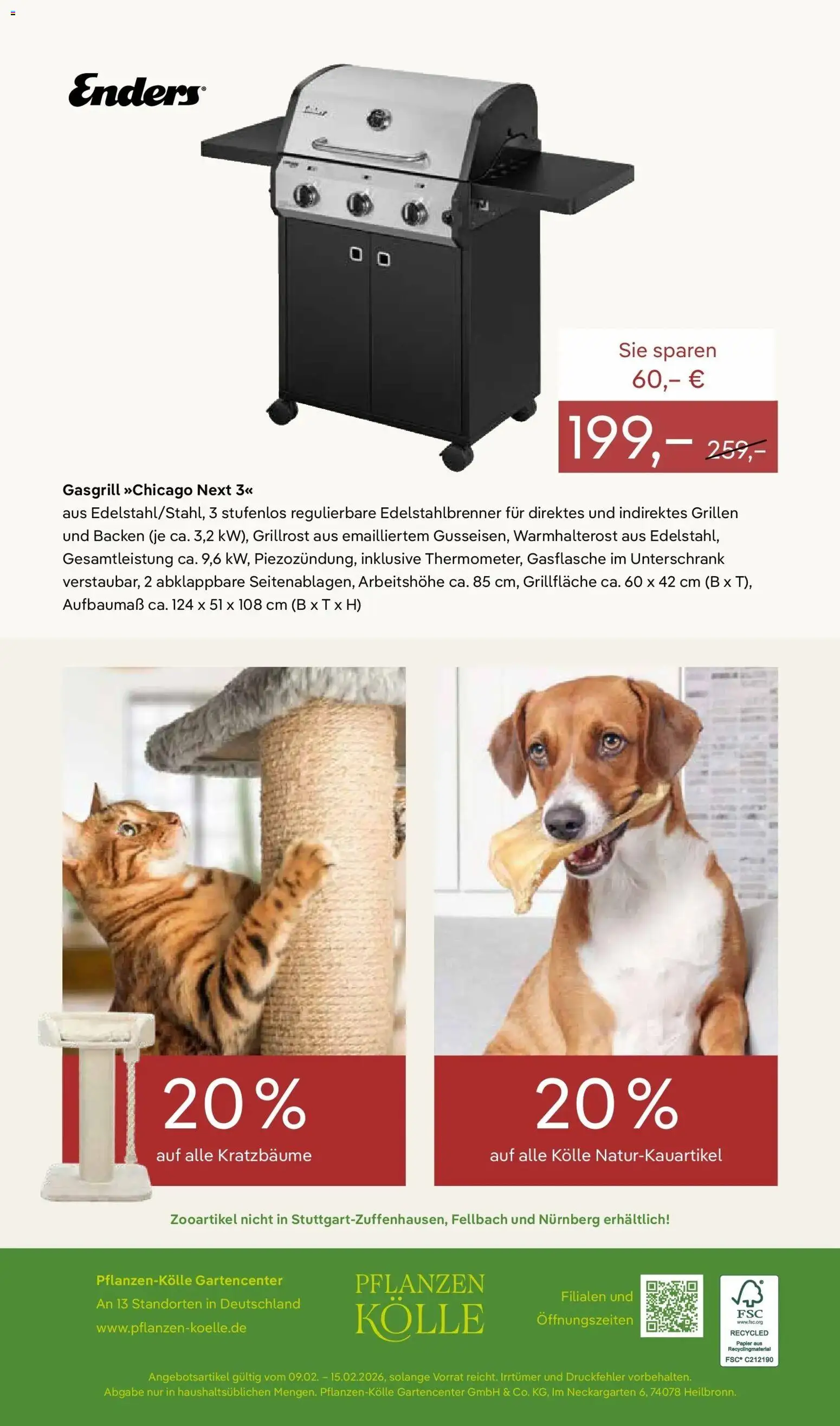 Pflanzen-Kölle - Pflanzen-Kölle: Valentinstag – gültig ab 08.02.2026 | Seite: 14