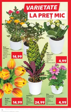 Ofertele Kaufland valabile de la 18.03.2026 | Pagină: 10