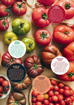  | Page: 43 | Produits: Salade, Sucre, Cerises, Tomates