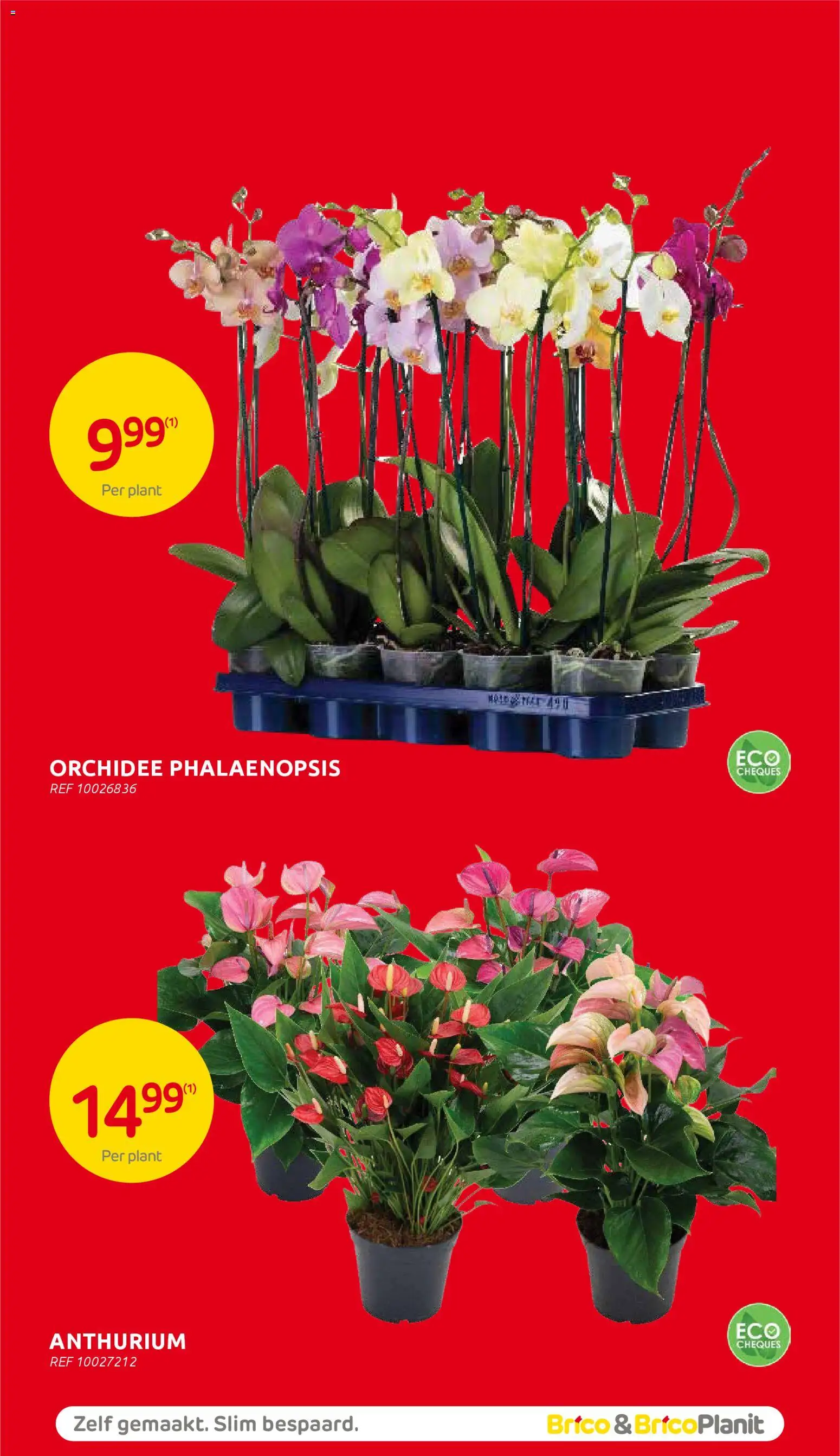 {H1} | Pagina: 60 | Producten: Guitare acoustique