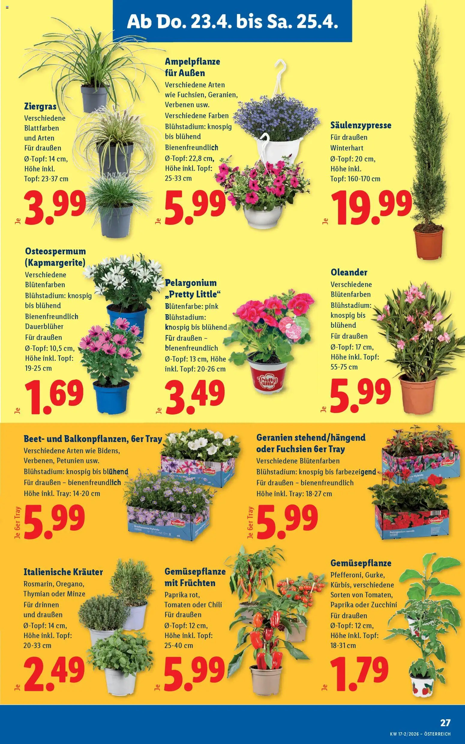 Lidl - Flugblatt gültig ab 23.04.2026 | Seite: 29 | Produkte: Chili, Tomaten