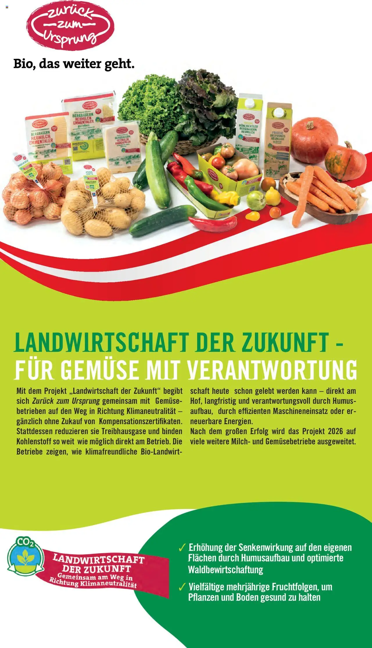 Hofer Flugblatt gültig ab 12.09.2025 | Seite: 49 | Produkte: Gemüse, Milch