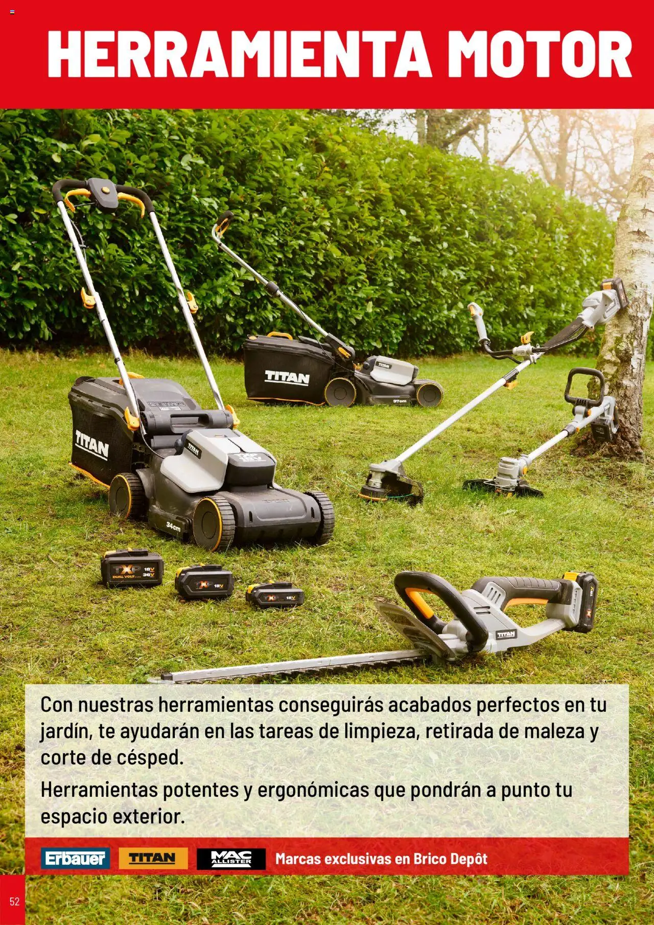 Brico Depôt Jardín │ válido desde el 25.04.2025 | Página: 52 | Productos: Té, Mac